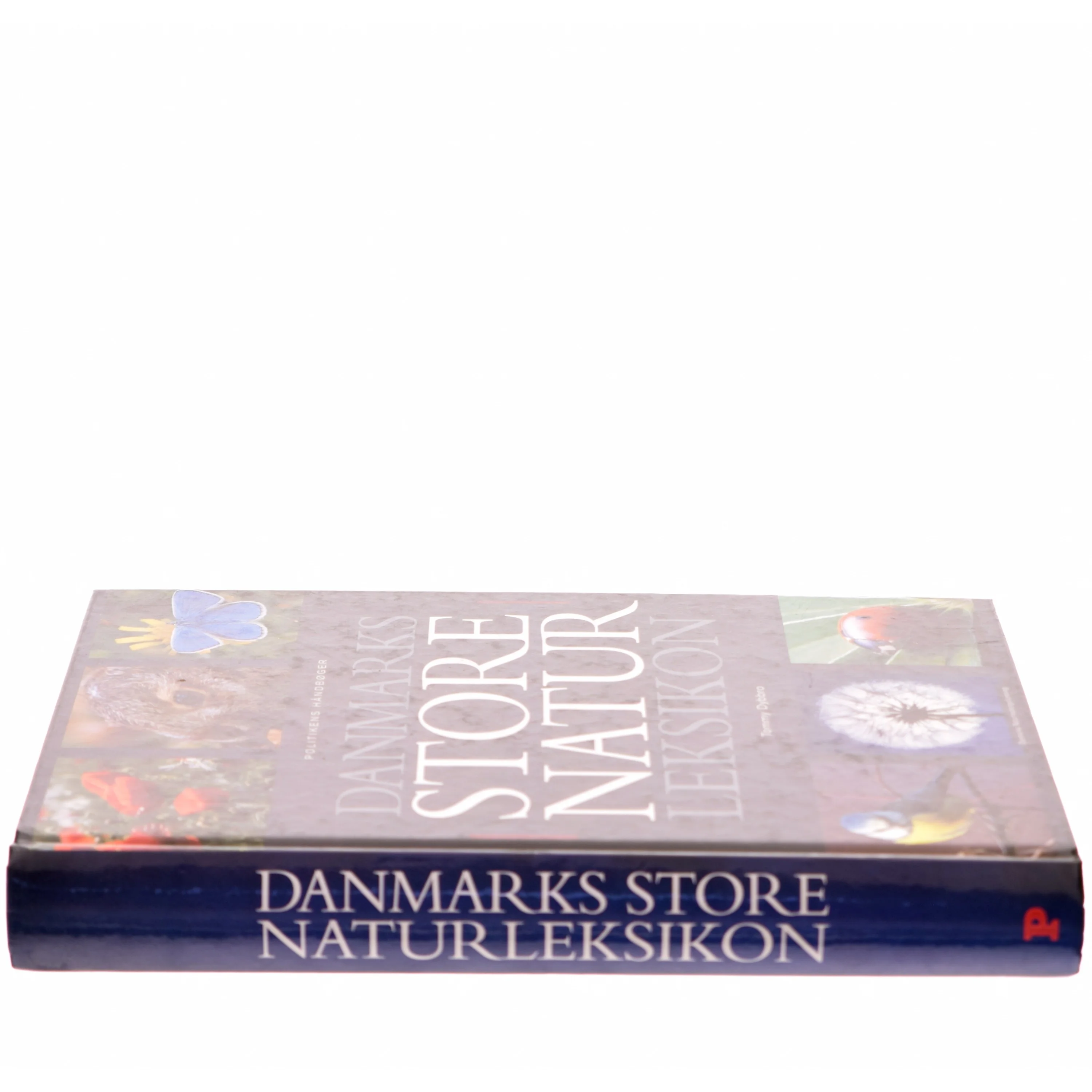 Danmarks store naturleksikon af Tommy Dybbro (Bog)