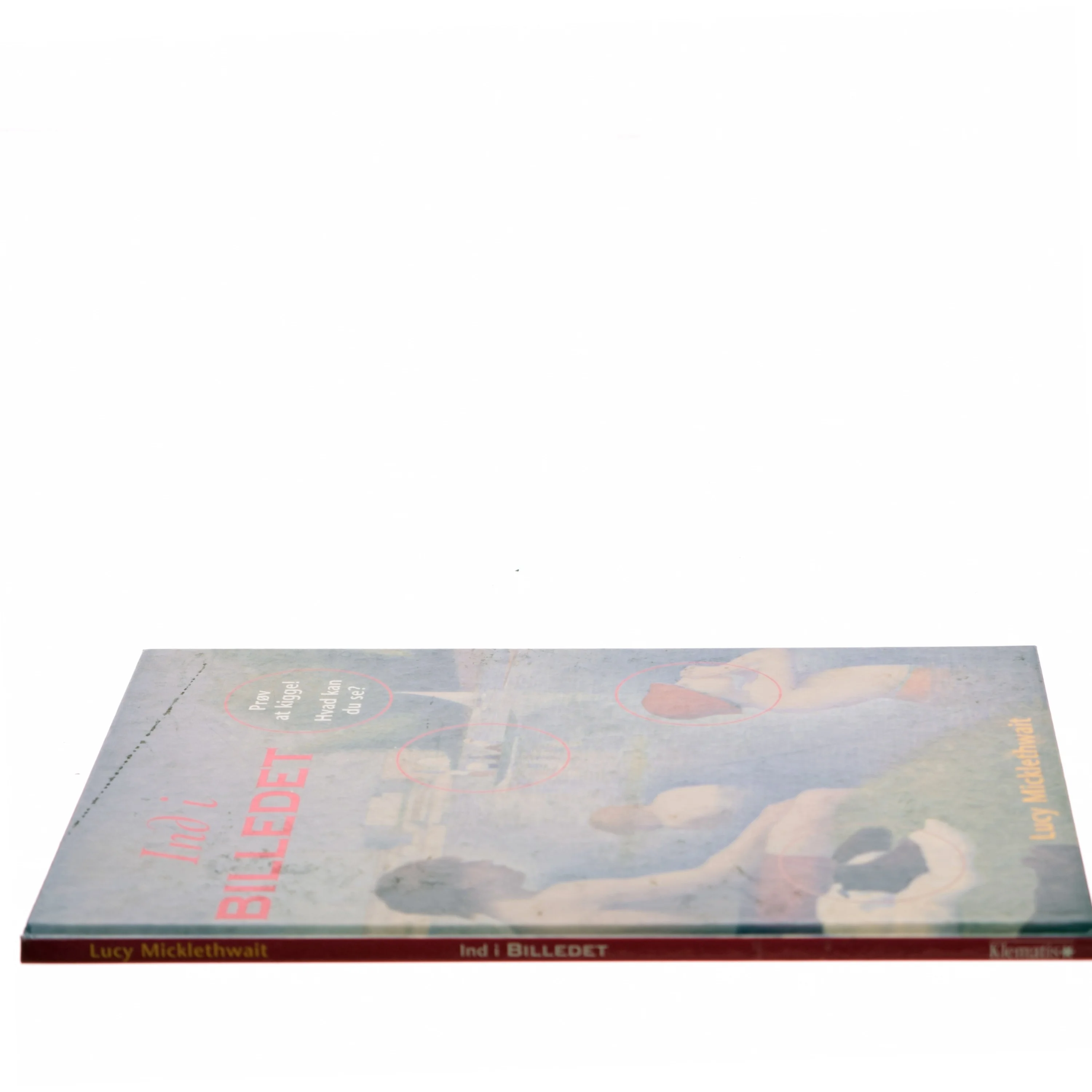 Ind i billedet af Lucy Micklethwait (Bog) fra Klematis