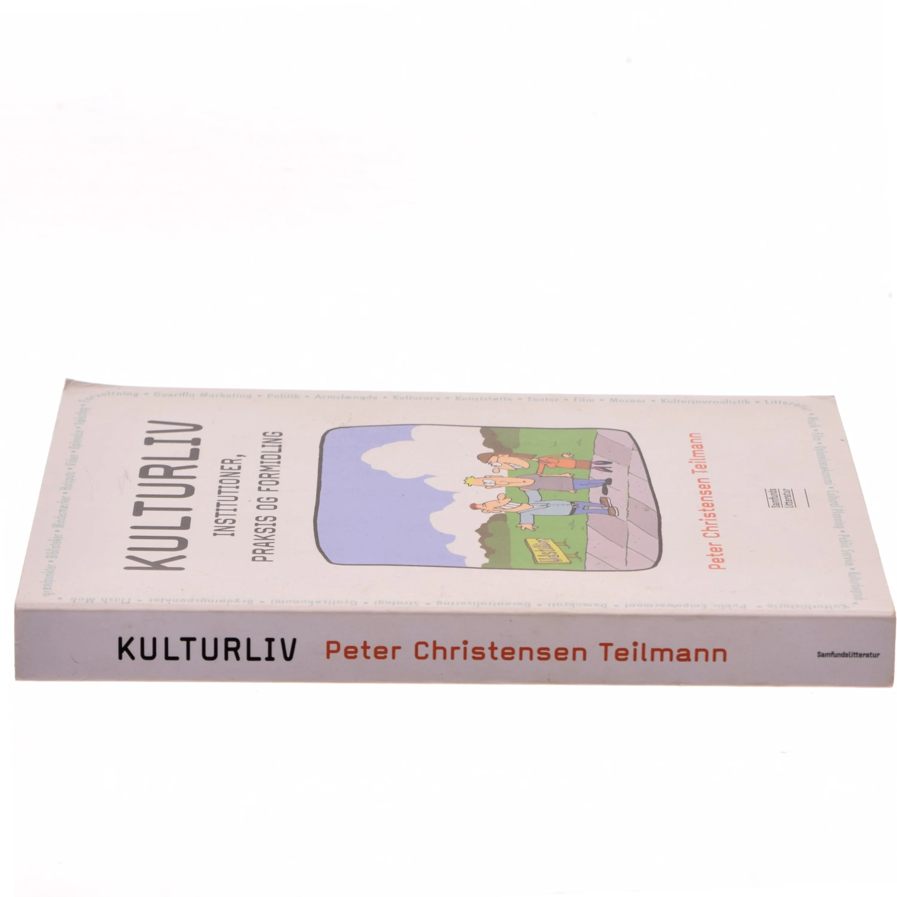 Kulturliv : institutioner, praksis og formidling af Peter Christensen Teilmann (Bog)