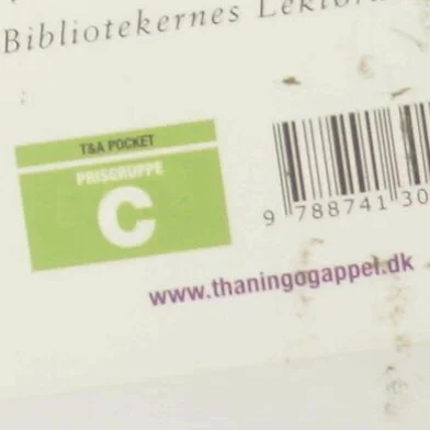 Dem inde ved siden af af Roisin Meaney (Bog) fra Thaning & Appel