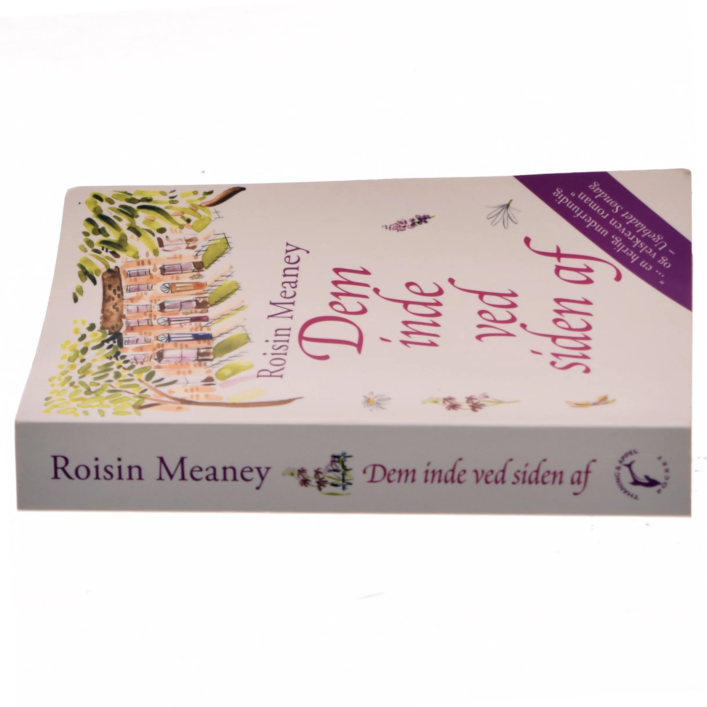 Dem inde ved siden af af Roisin Meaney (Bog) fra Thaning & Appel