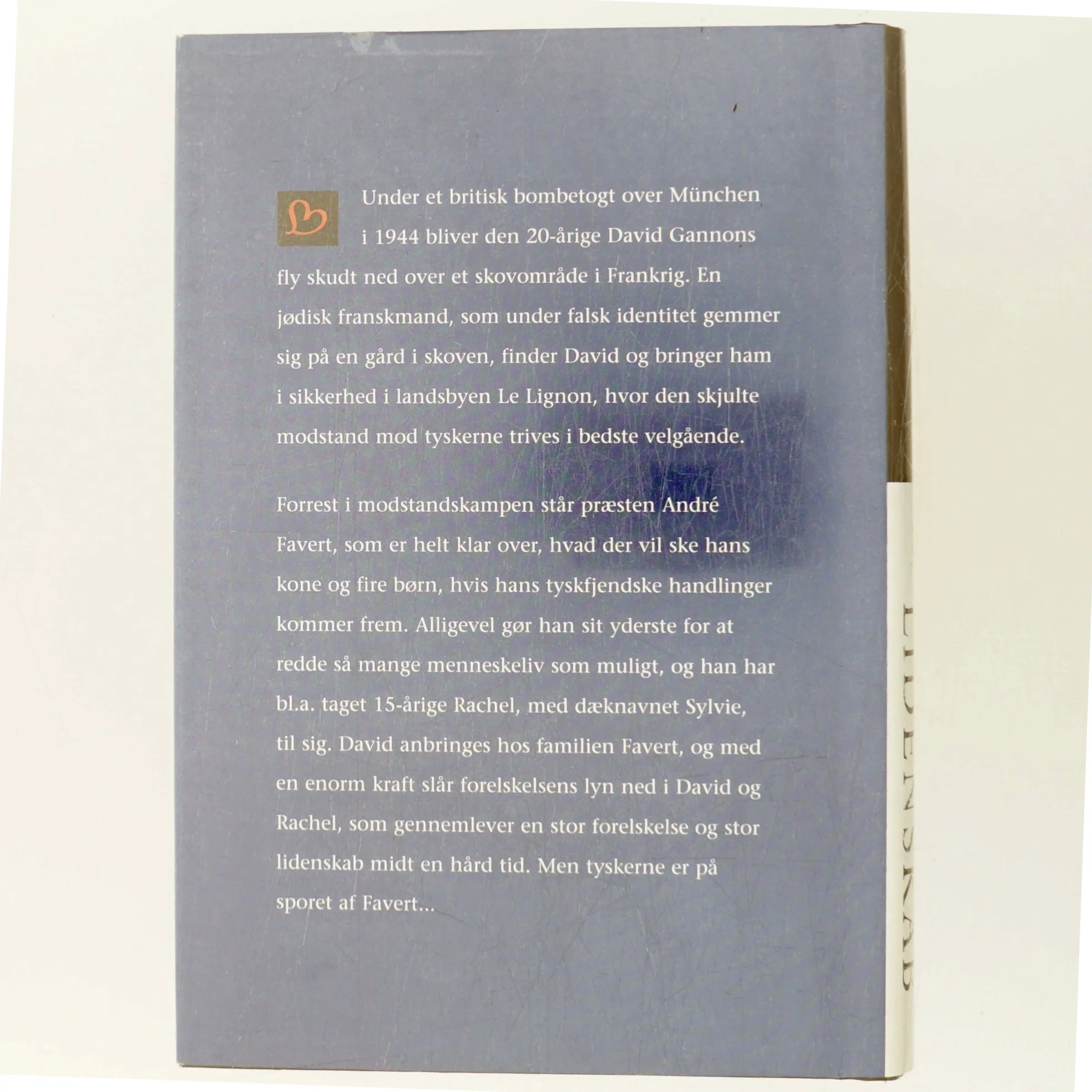 Hemmelige Lidenskab (Bog)