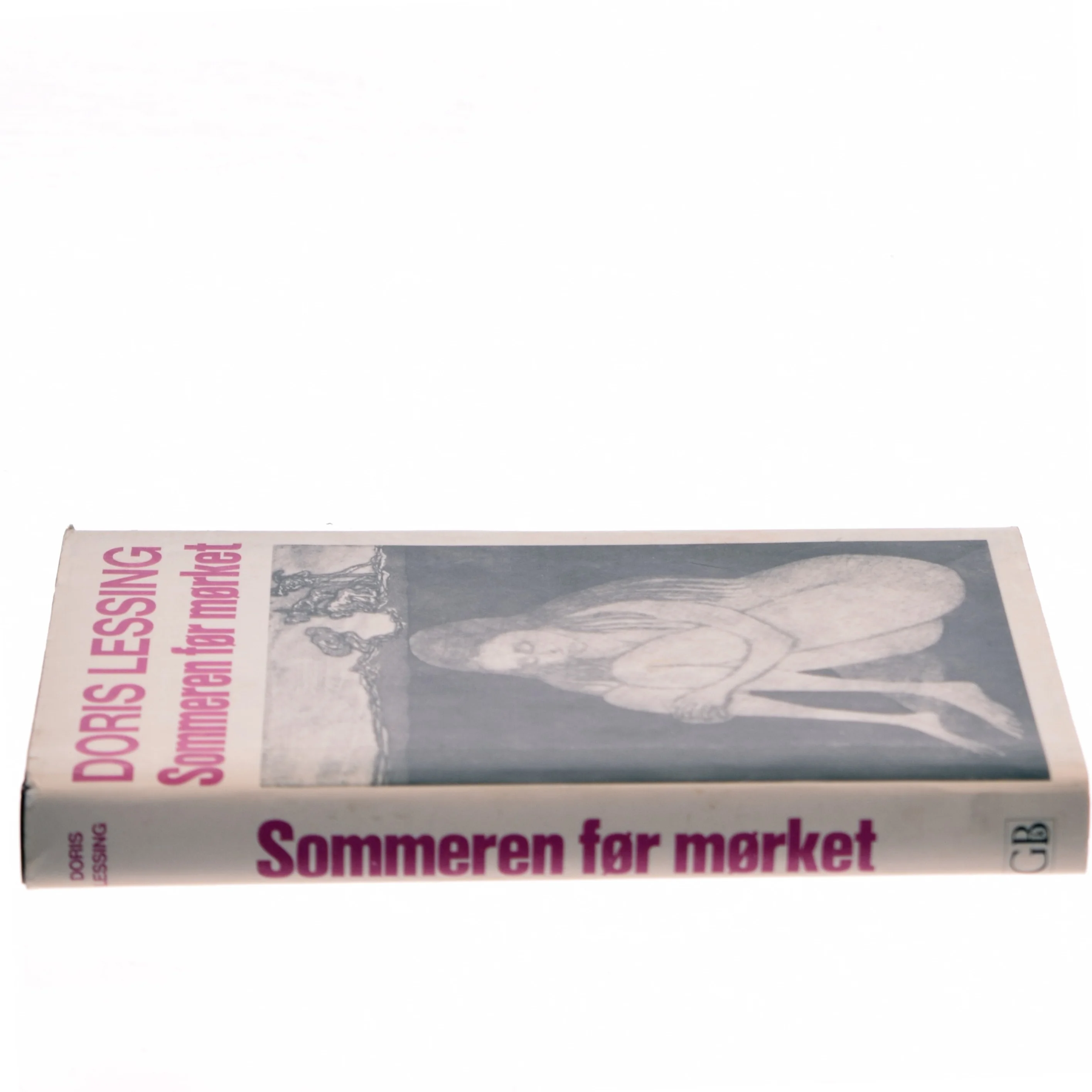 Doris Lessing, sommeren før mørket