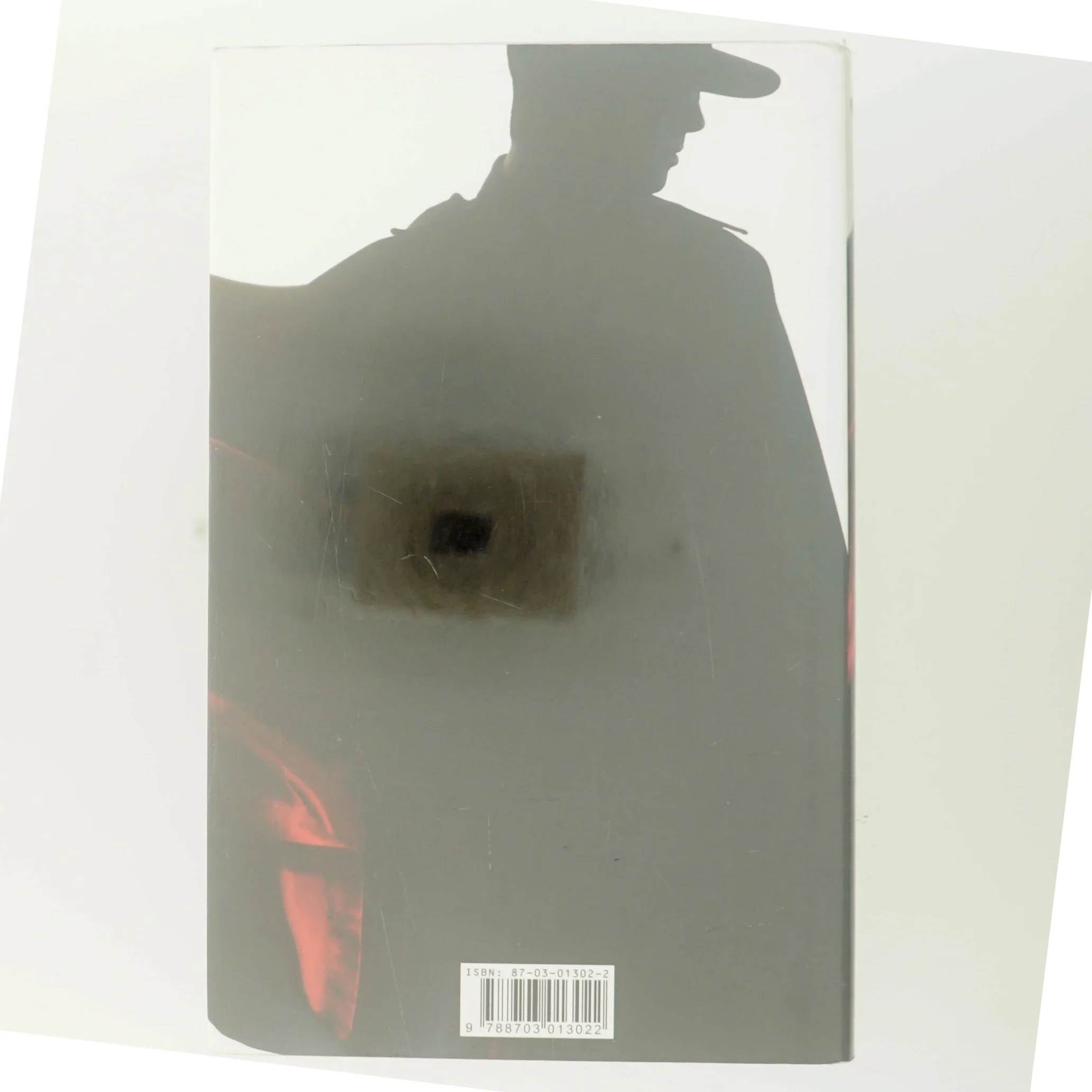 Zorro : en legende fødes af Isabel Allende (Bog)