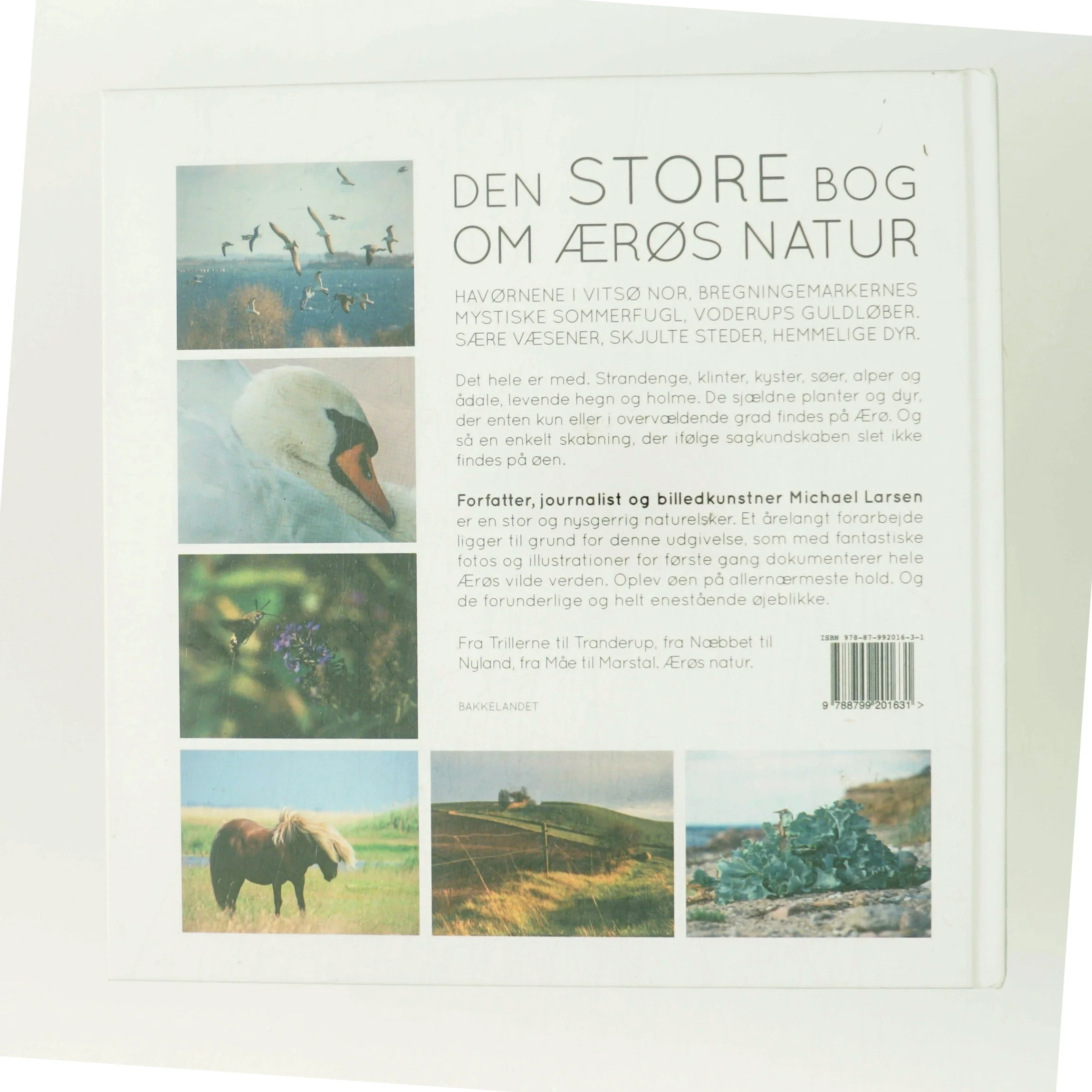 Ærøs natur af Michael Larsen (f. 1961) (Bog)