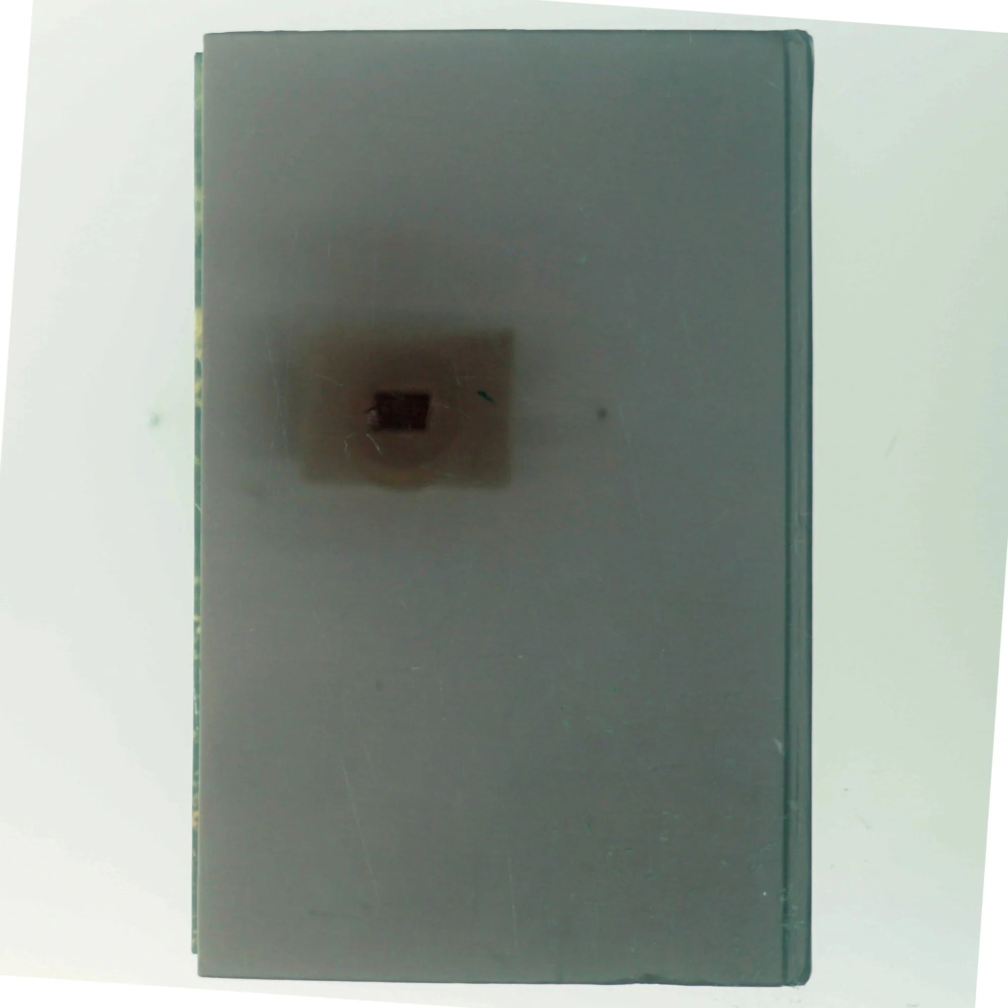 Skæbnesommer af Susan Moody (Bog)