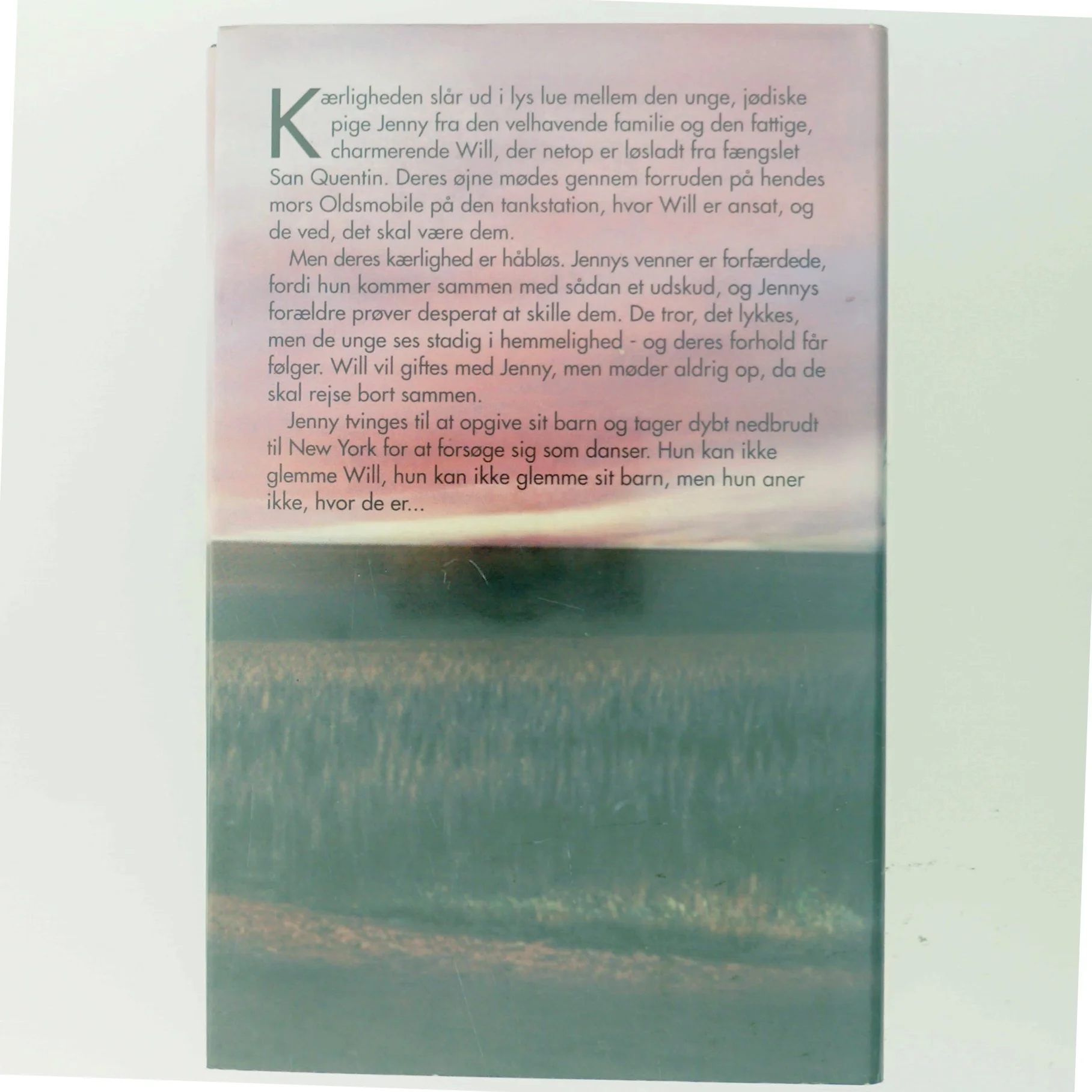 Slettede Spor af Elaine Kagan (Bog)