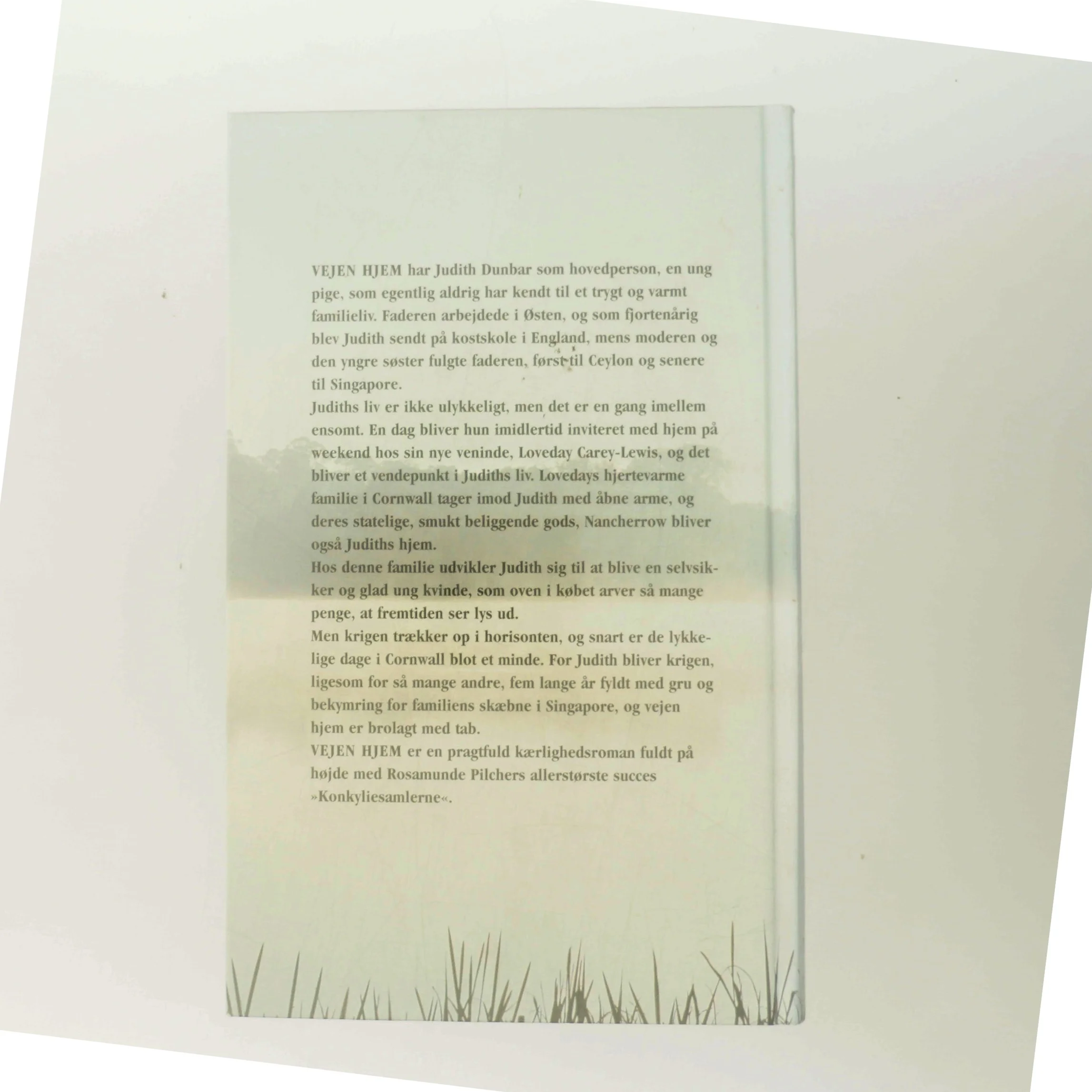 Vejen hjem af Rosamunde Pilcher (Bog)