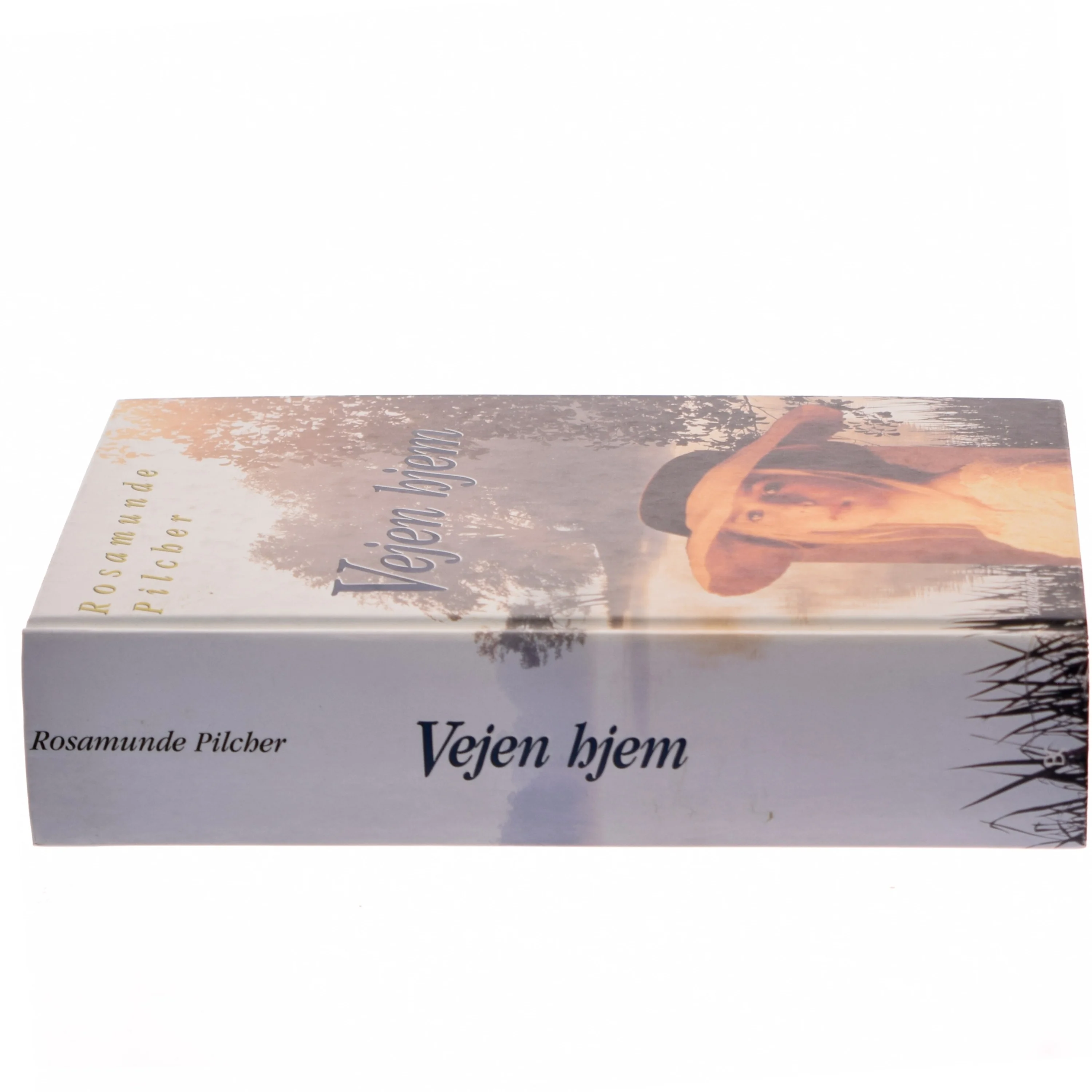 Vejen hjem af Rosamunde Pilcher (Bog)