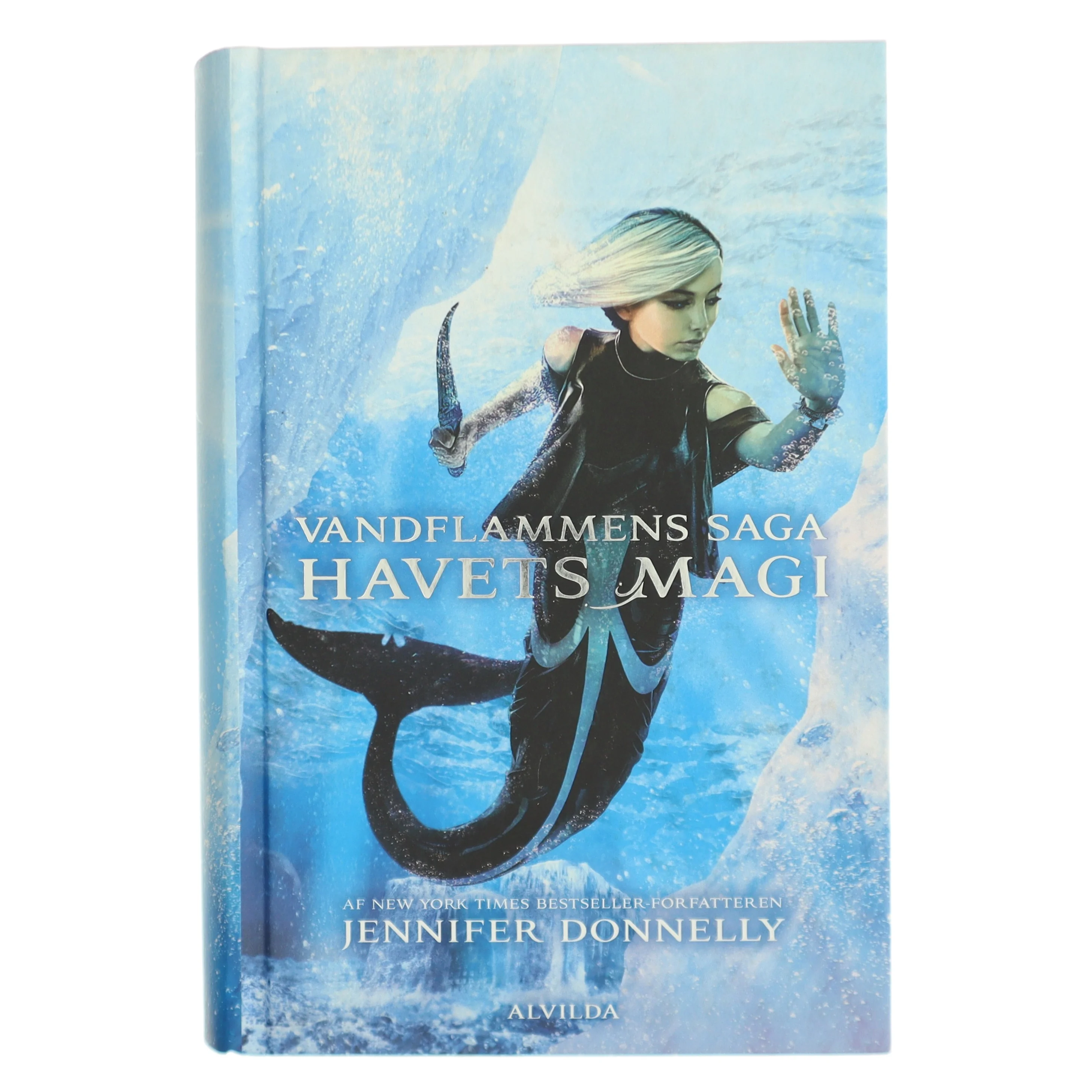 Havets magi af Jennifer Donnelly (Bog)