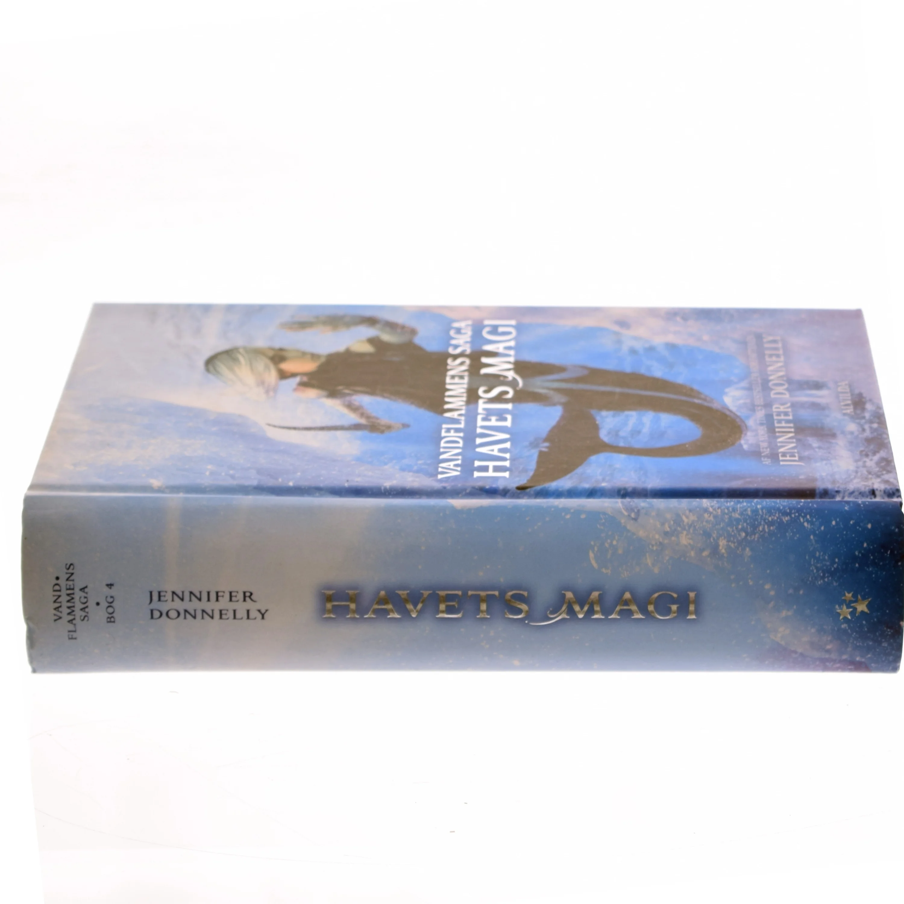 Havets magi af Jennifer Donnelly (Bog)