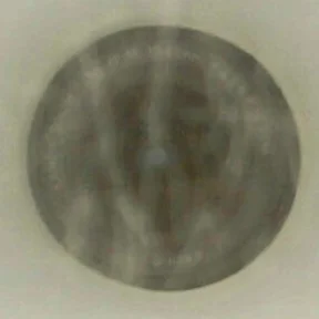 Du er hvad du spiser med Lene Hansson af Lene Hansson (Bog)