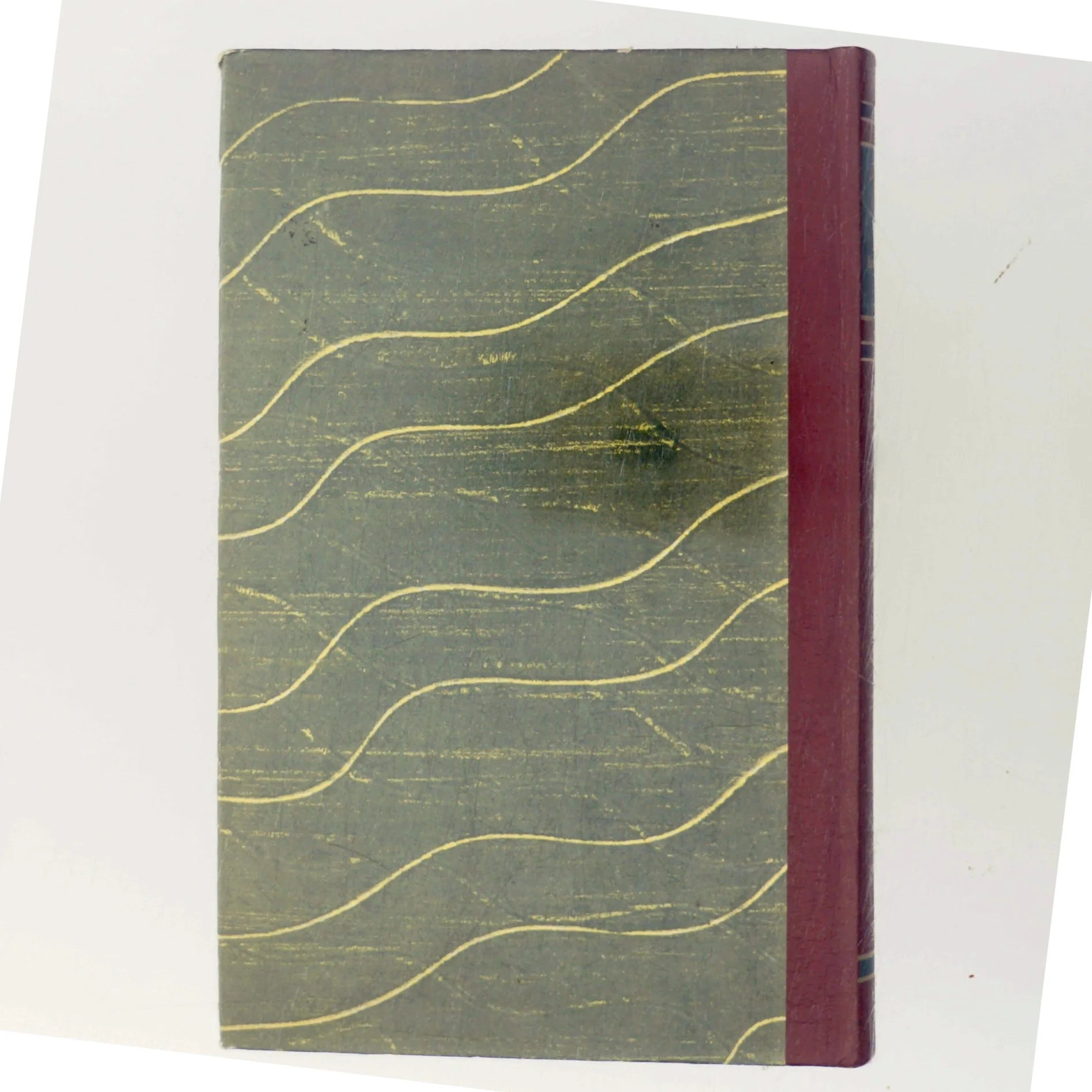 Kejserfuglens krop af Demetrius Lauditus (Bog)