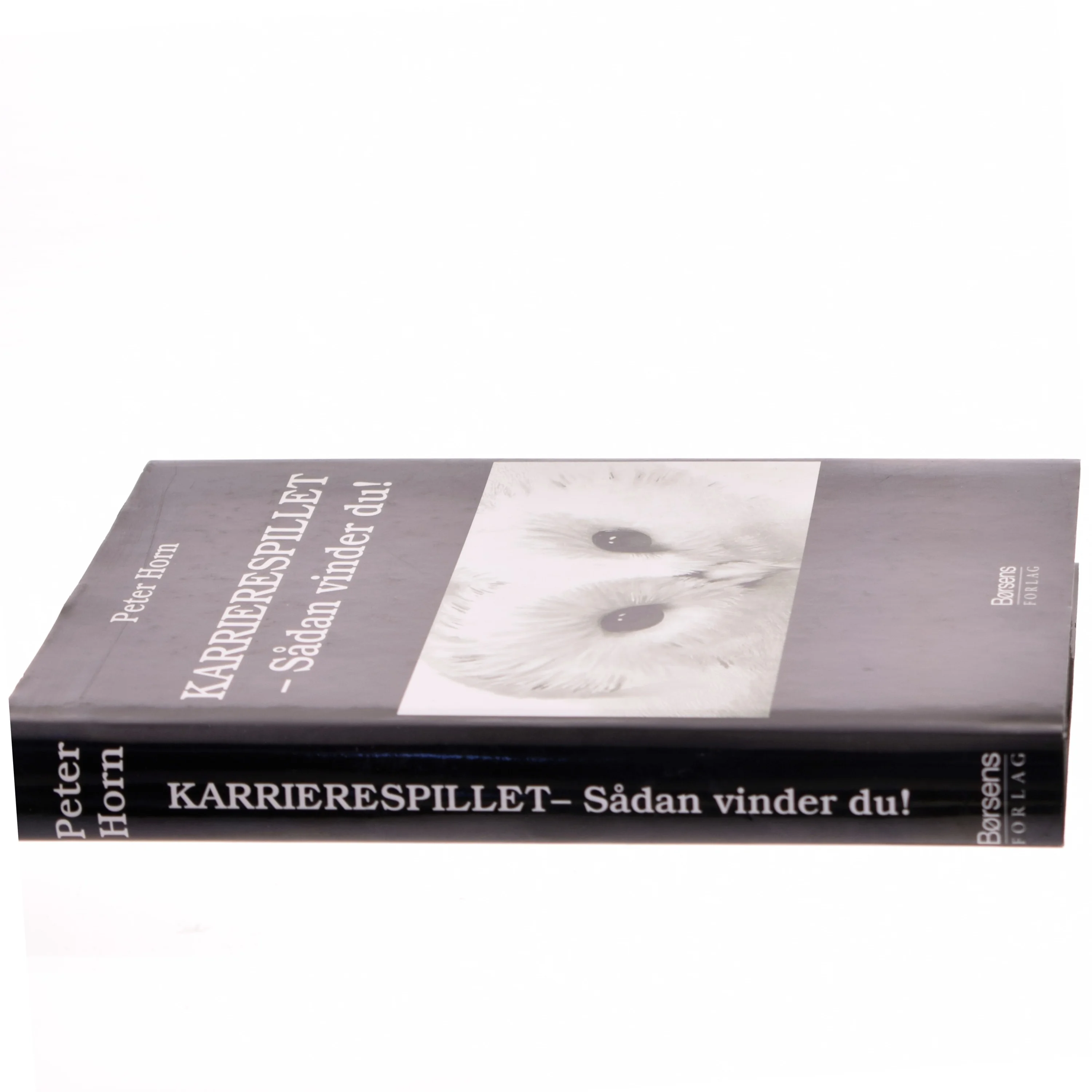 Karrierespillet : sådan vinder du! af Peter Horn (f. 1949) (Bog)