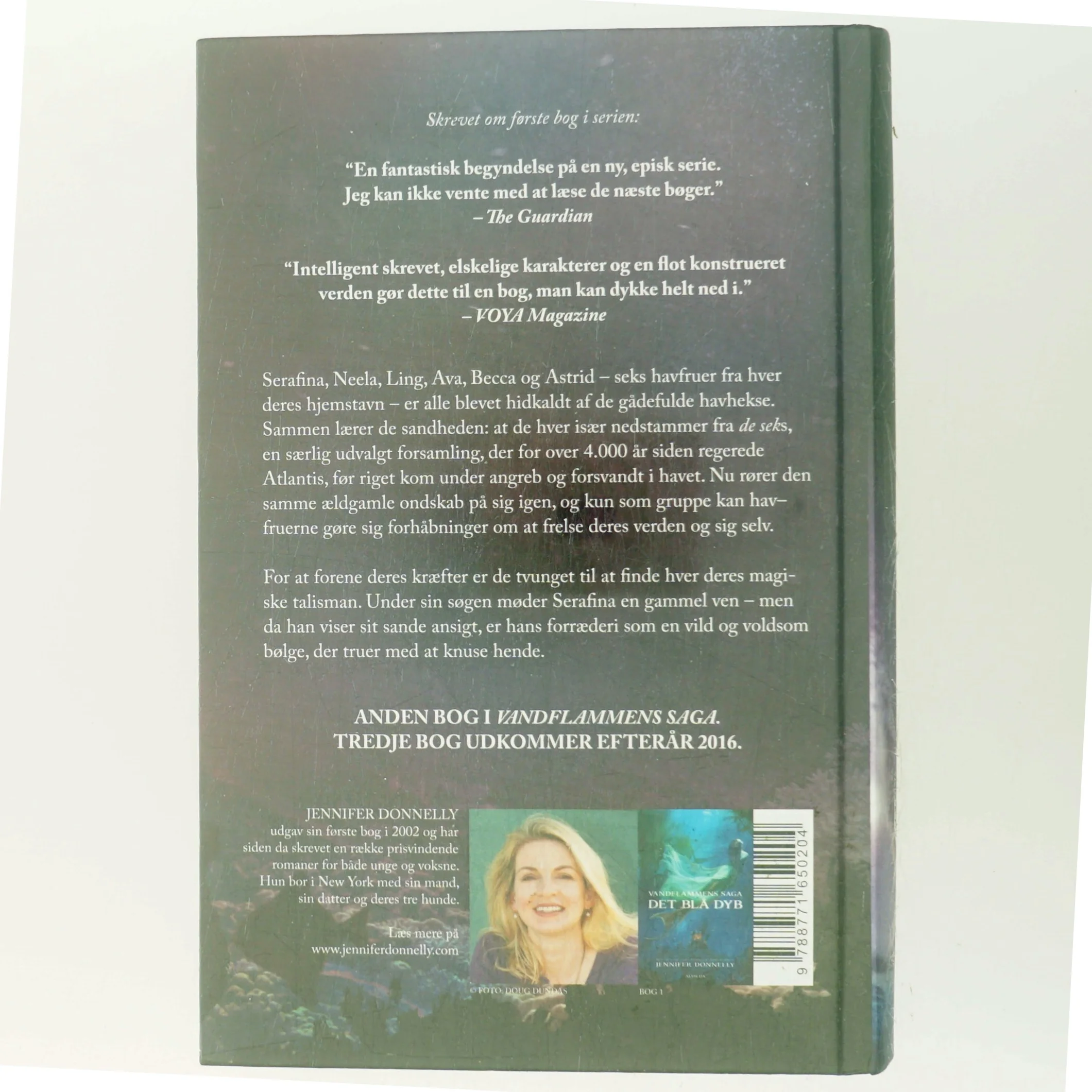 Vilde Bølger af Jennifer Donnelly (Bog)