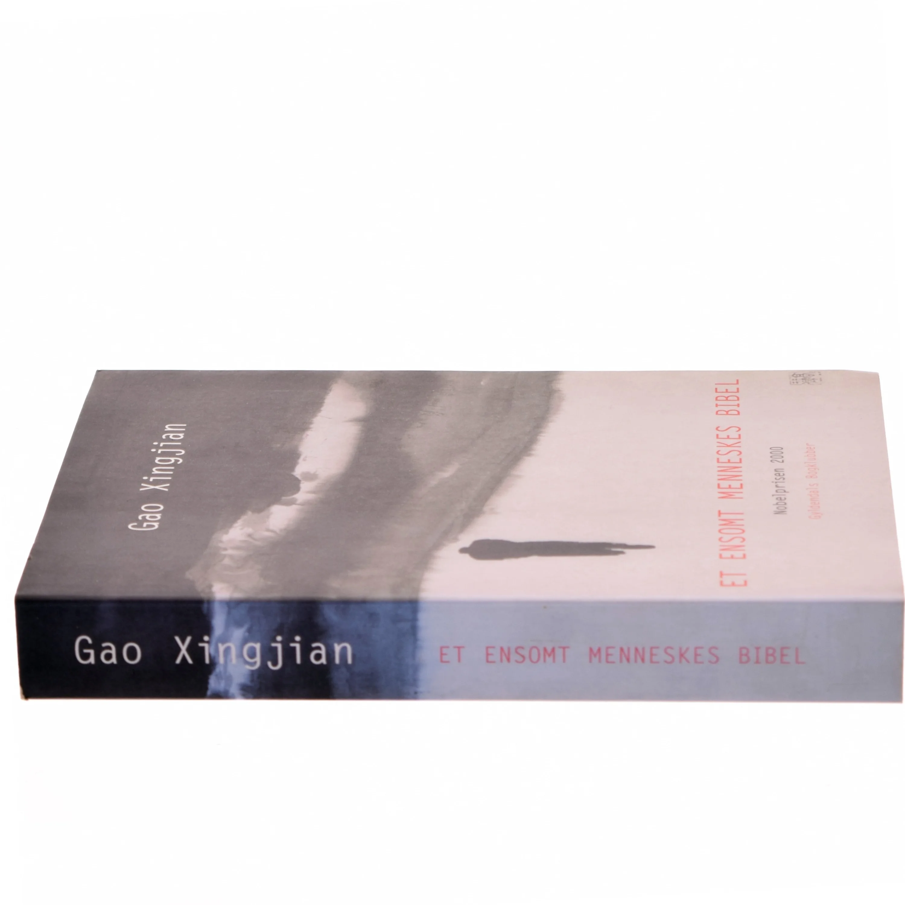 Et ensomt menneskes bibel : roman af Xingjian Gao (Bog)