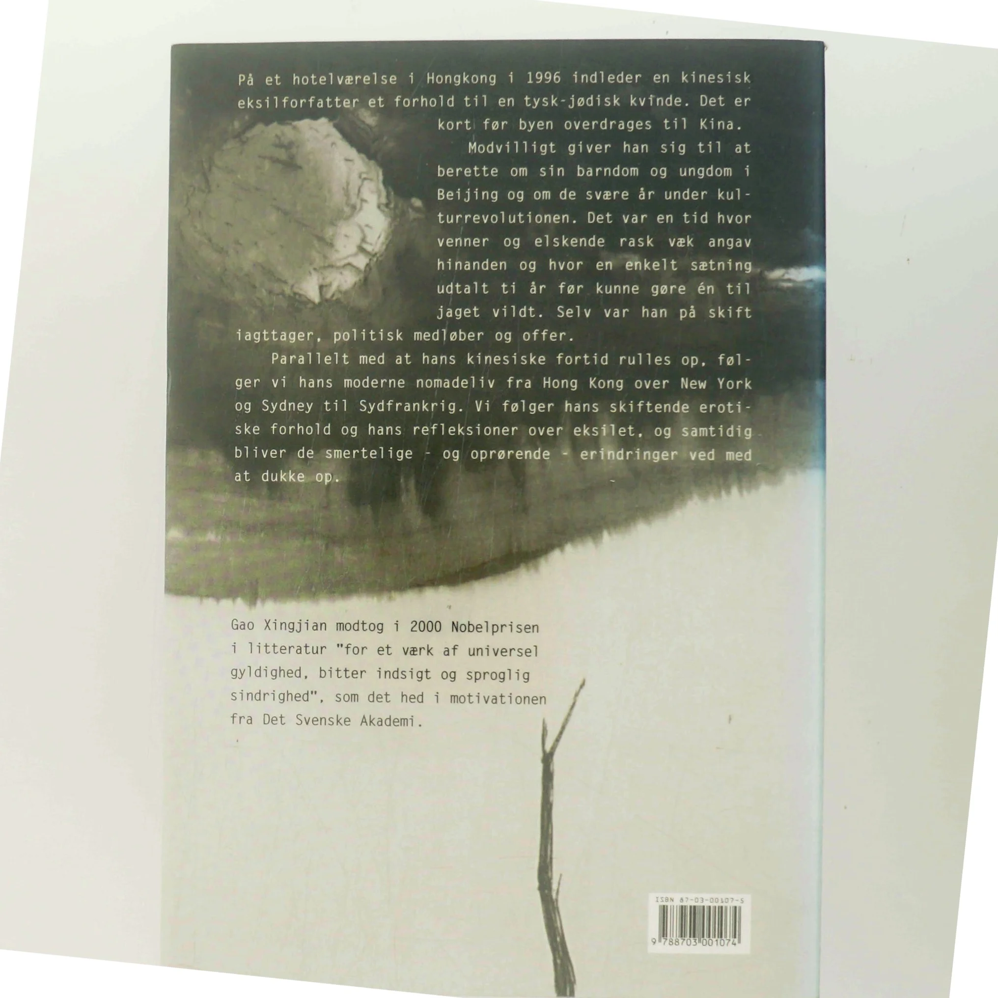 Et ensomt menneskes bibel : roman af Xingjian Gao (Bog)