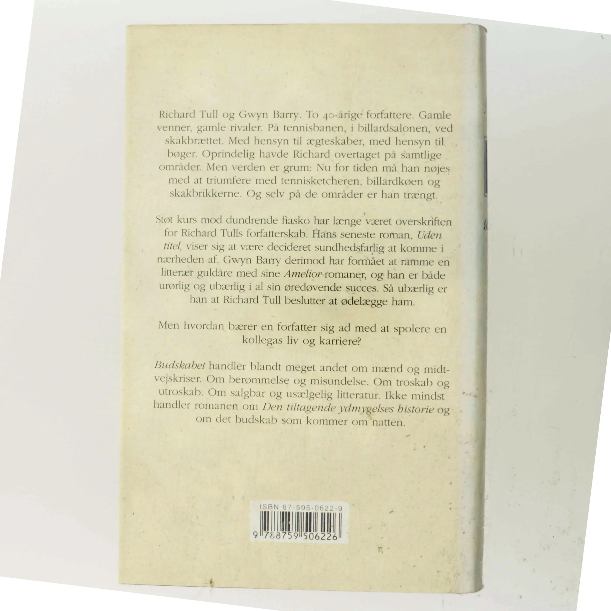 Budskabet af Martin Amis (Bog)