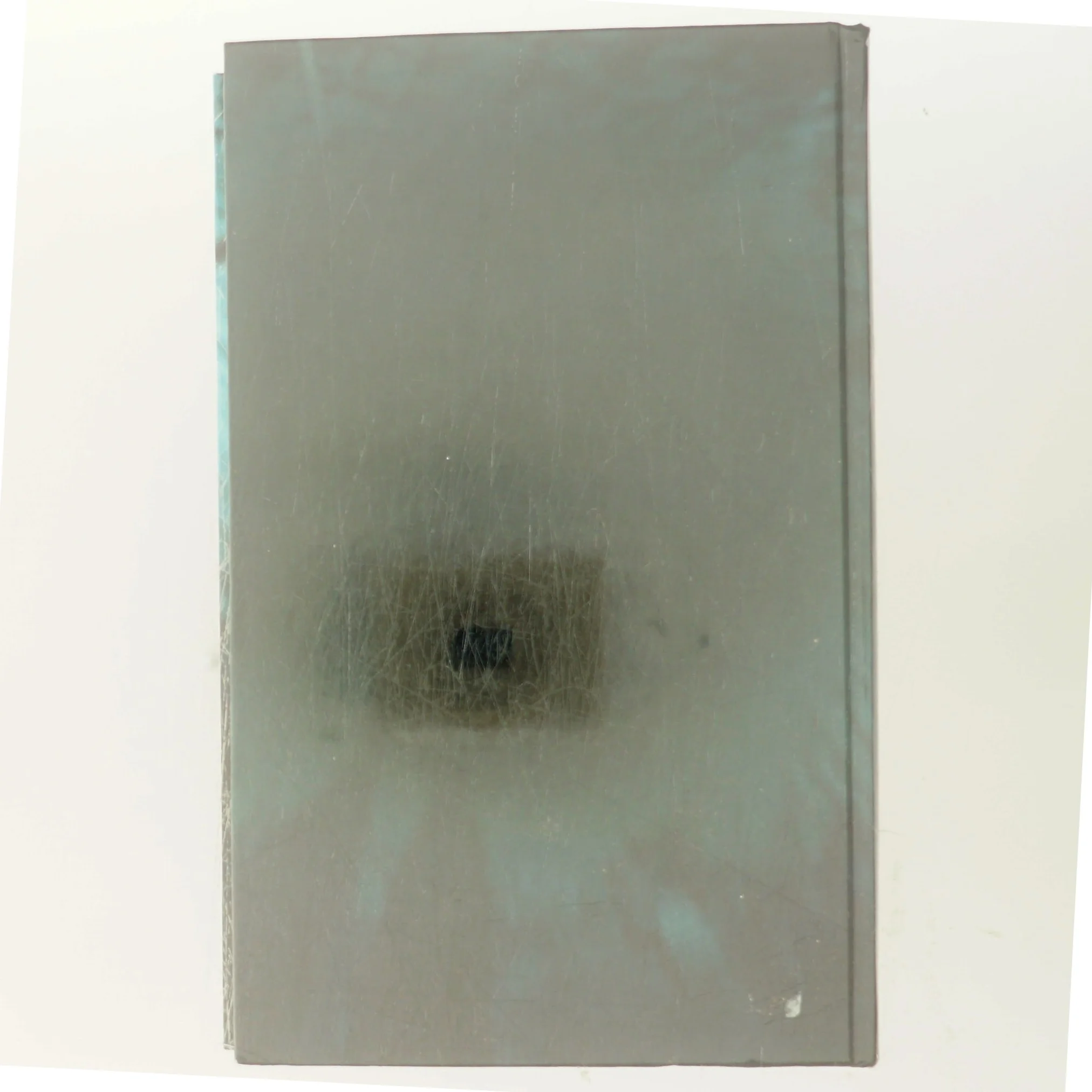 Nærmeste pårørende af Elsebeth Egholm (Bog)