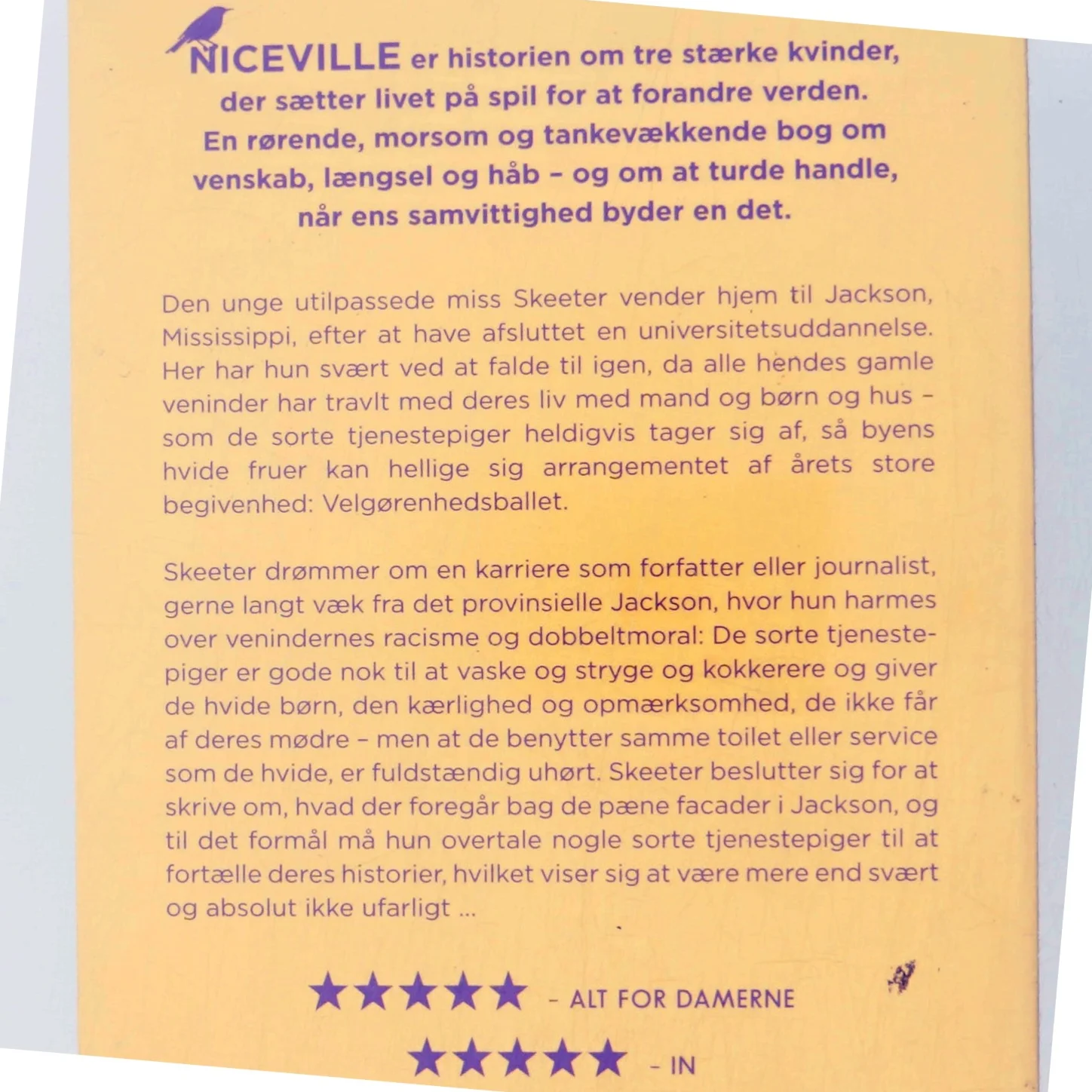 Niceville af Kathryn Stockett (Bog)