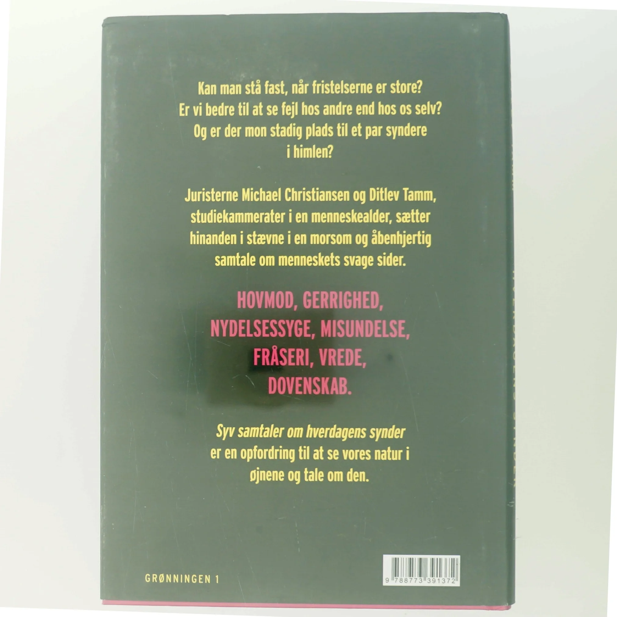 Syv samtaler om hverdagens synder af Ditlev Tamm (Bog)