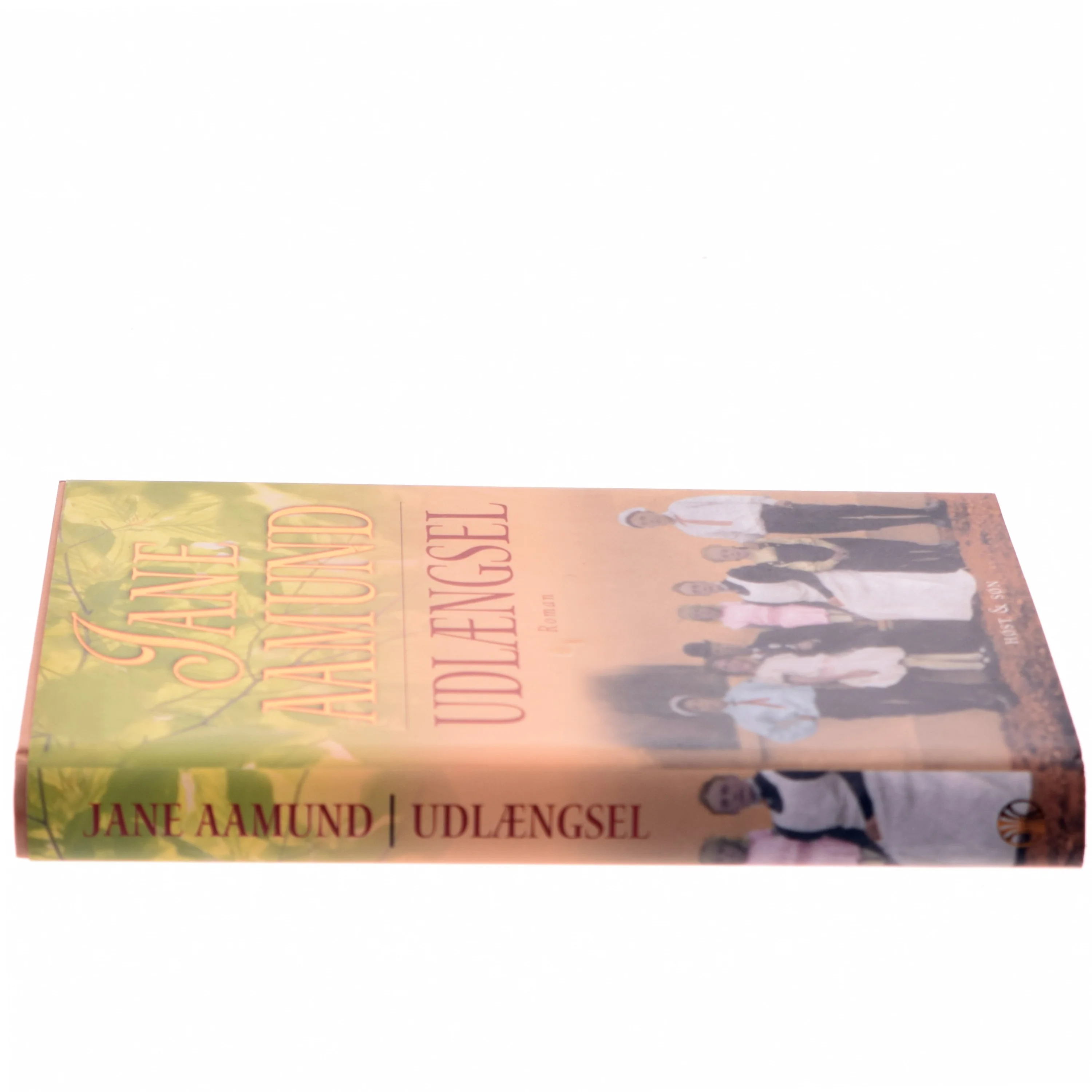 Udlængsel af Jane Aamund (Bog)