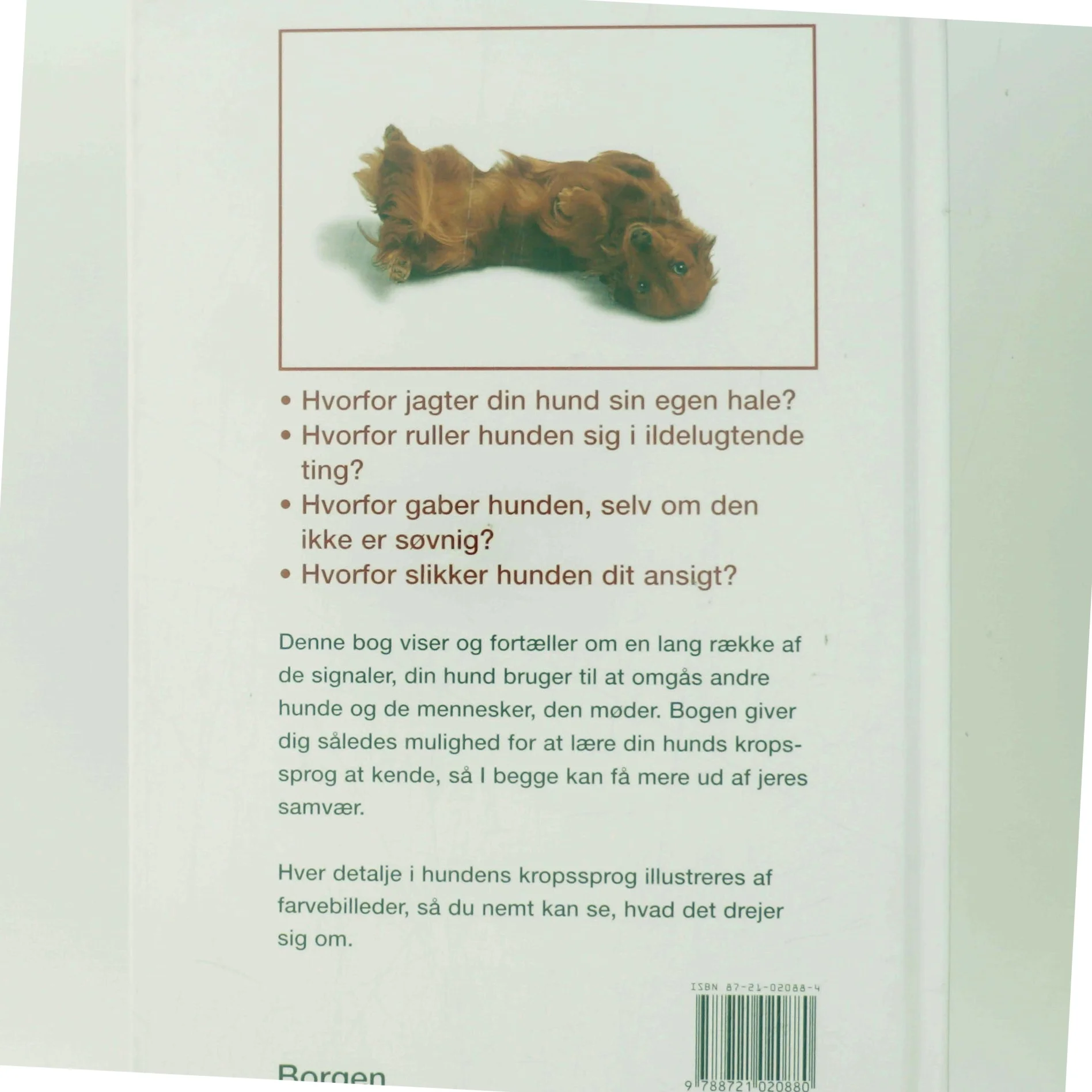 Hvad tænker min hund? : sådan forstår du din hund af Gwen Bailey (Bog)