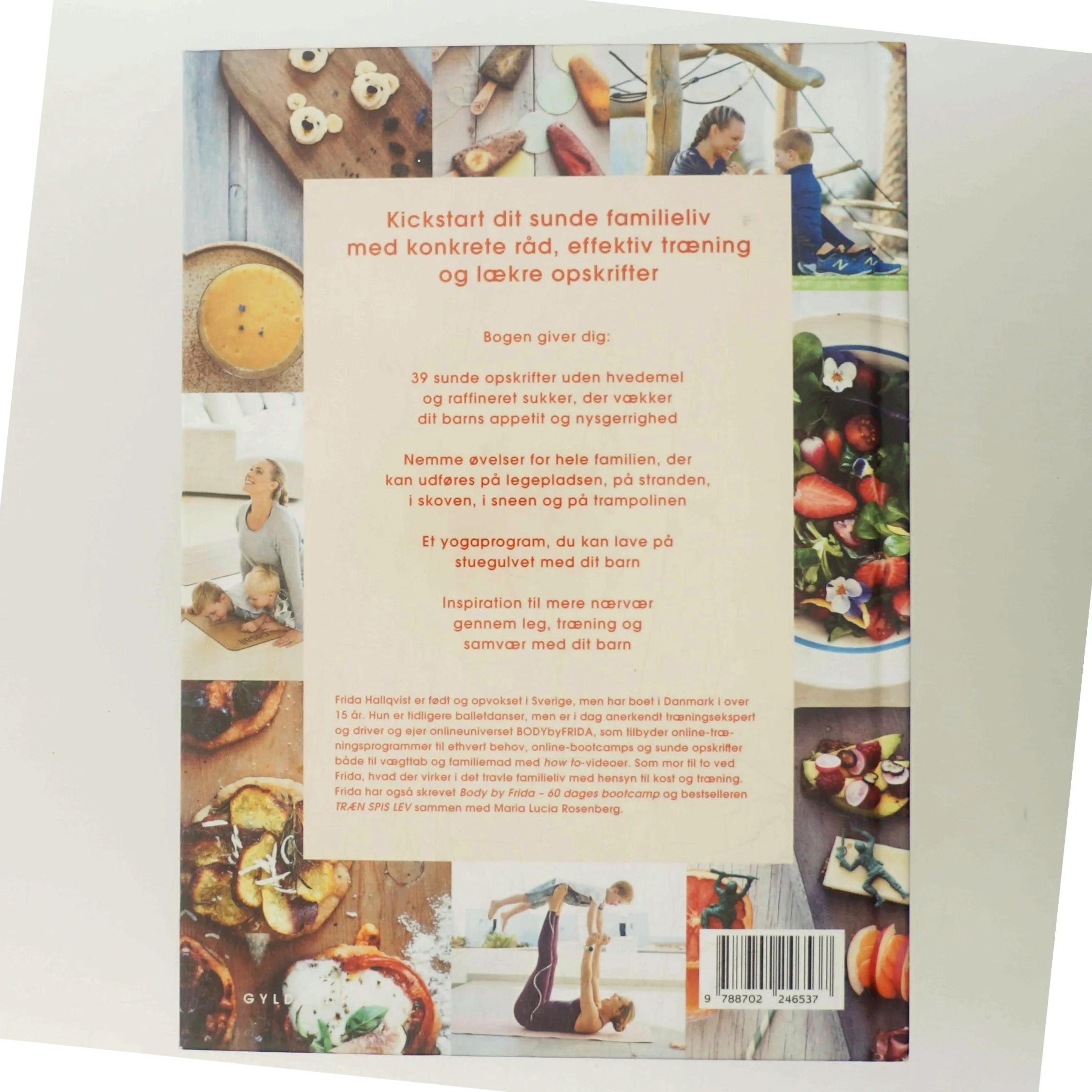 Kickstart dit sunde familieliv : sådan gør du i en travl hverdag af Frida Hallqvist (Bog)