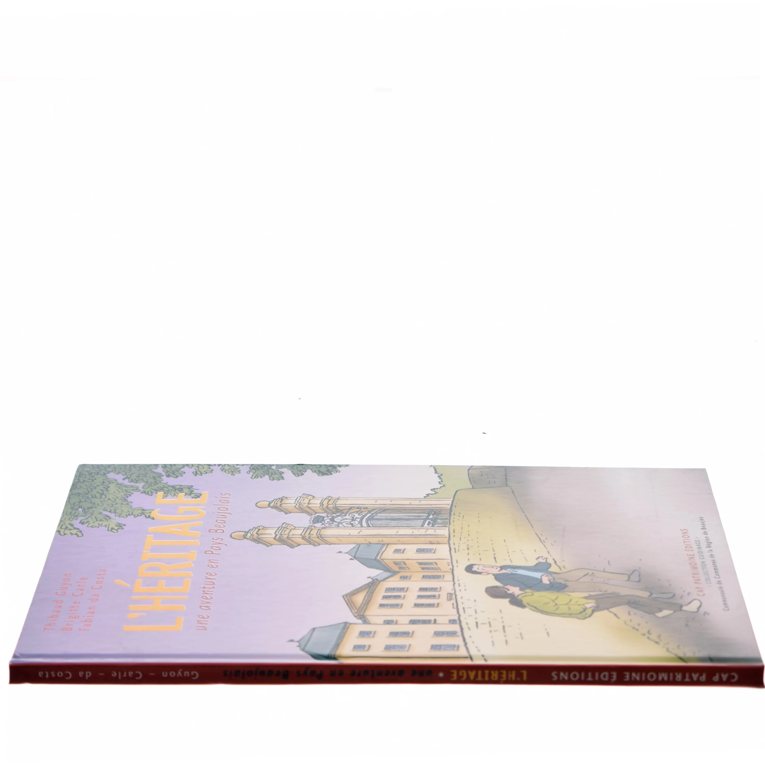 L'héritage af Brigitte Carle, Thibaud Guyon, Fabian Da Costa (Bog)