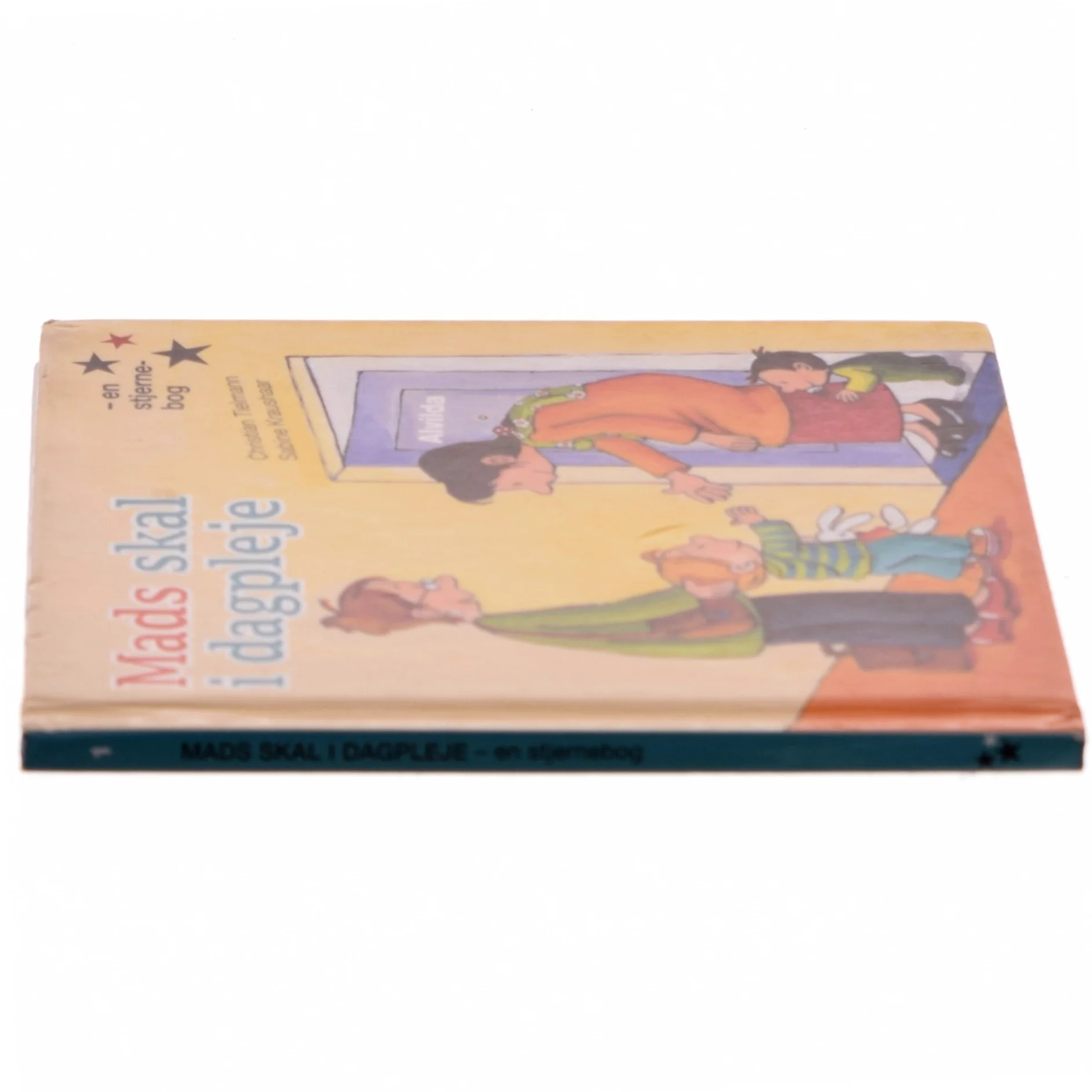 Alvildas stjernebøger (Bog)