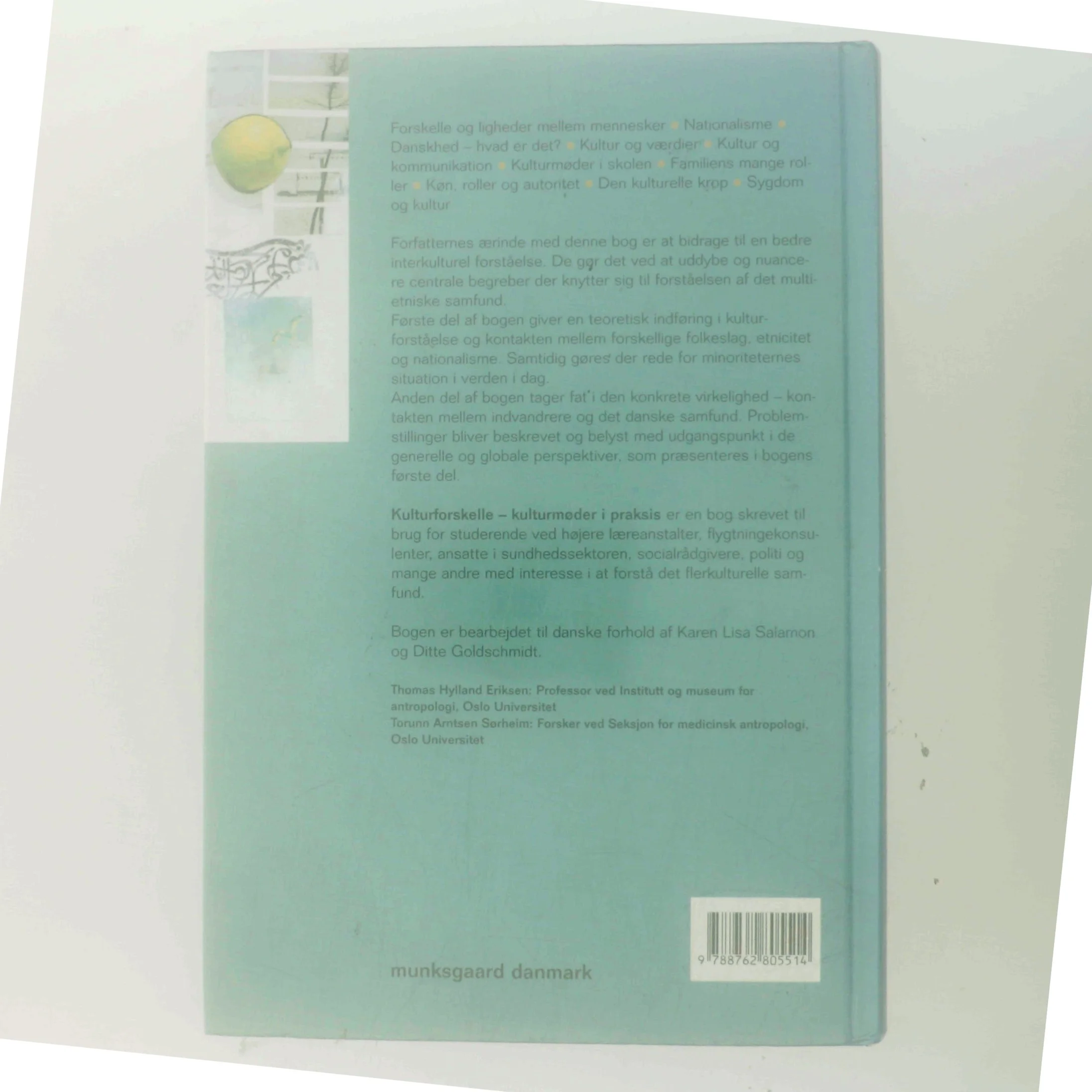 Kulturforskelle : kulturmøder i praksis (Bog)