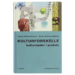 Kulturforskelle : kulturmøder i praksis (Bog)