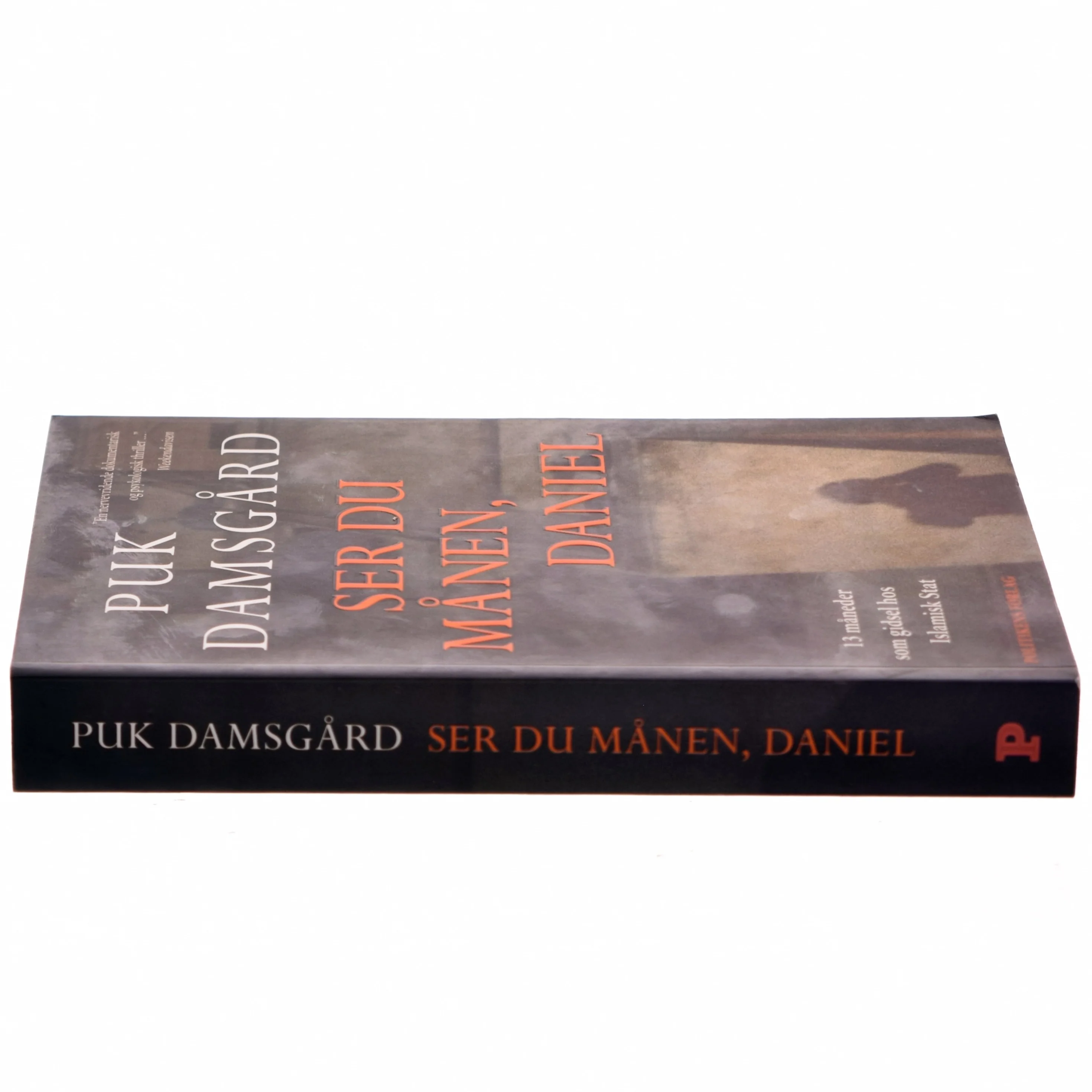 Ser du månen, Daniel af Puk Damsgård Andersen (Bog)