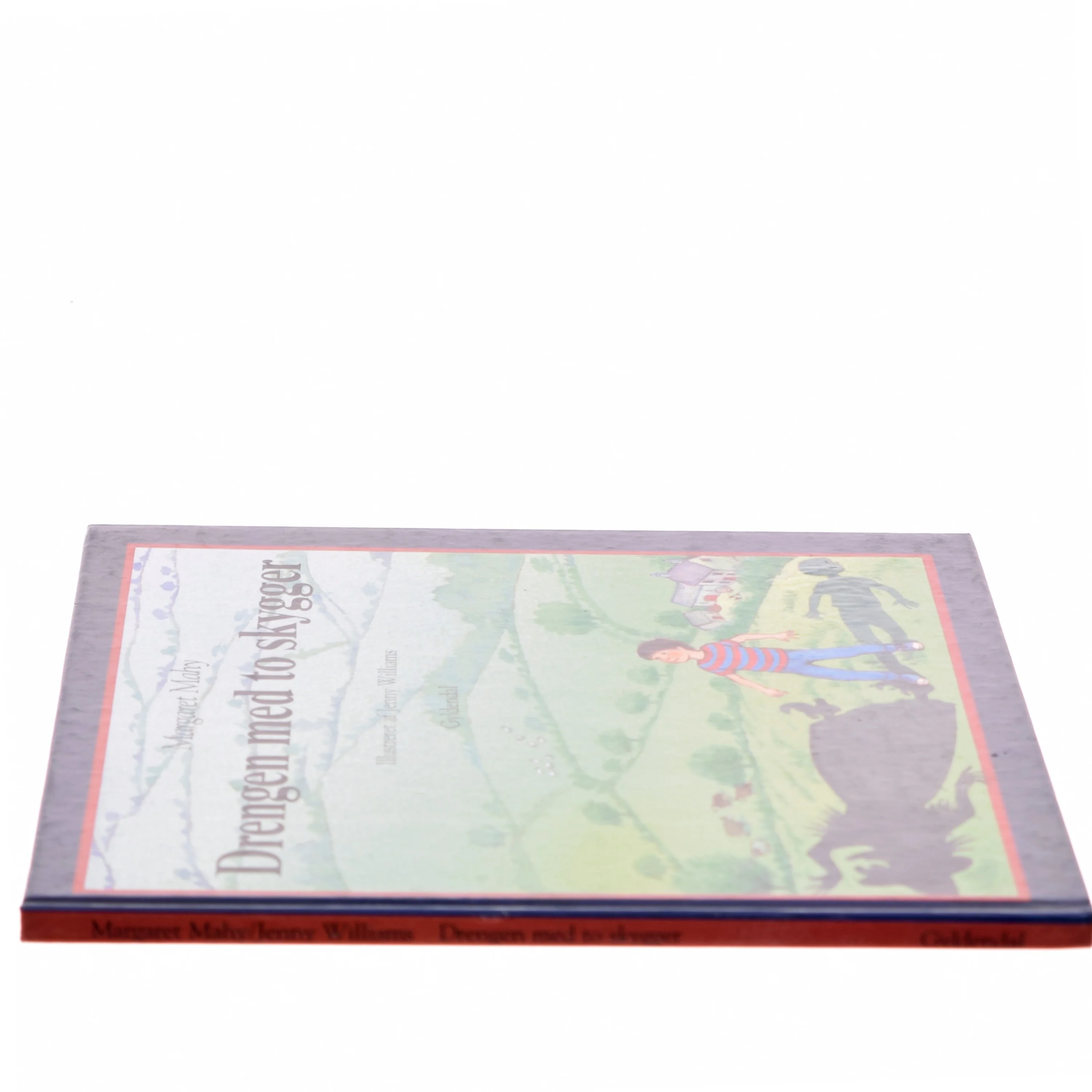 Drengen med to skygger af Margaret Mahy (Bog)