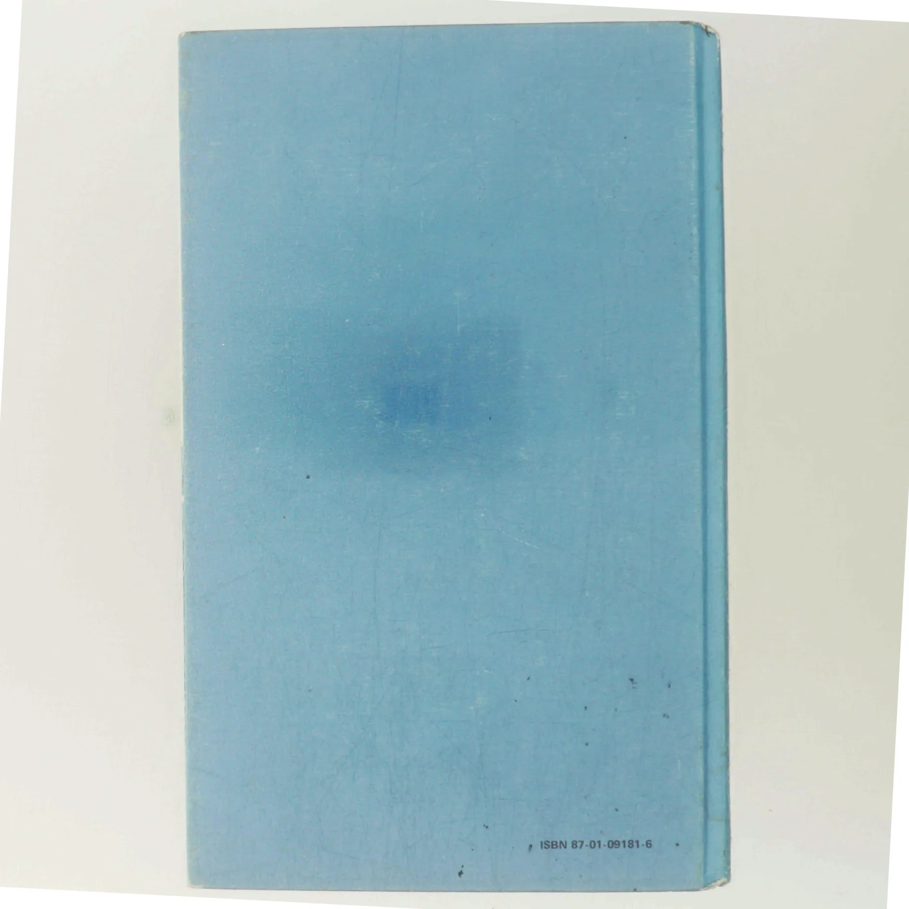 Mikkel-Ravnens Knægt af Robert Fisker (Bog)