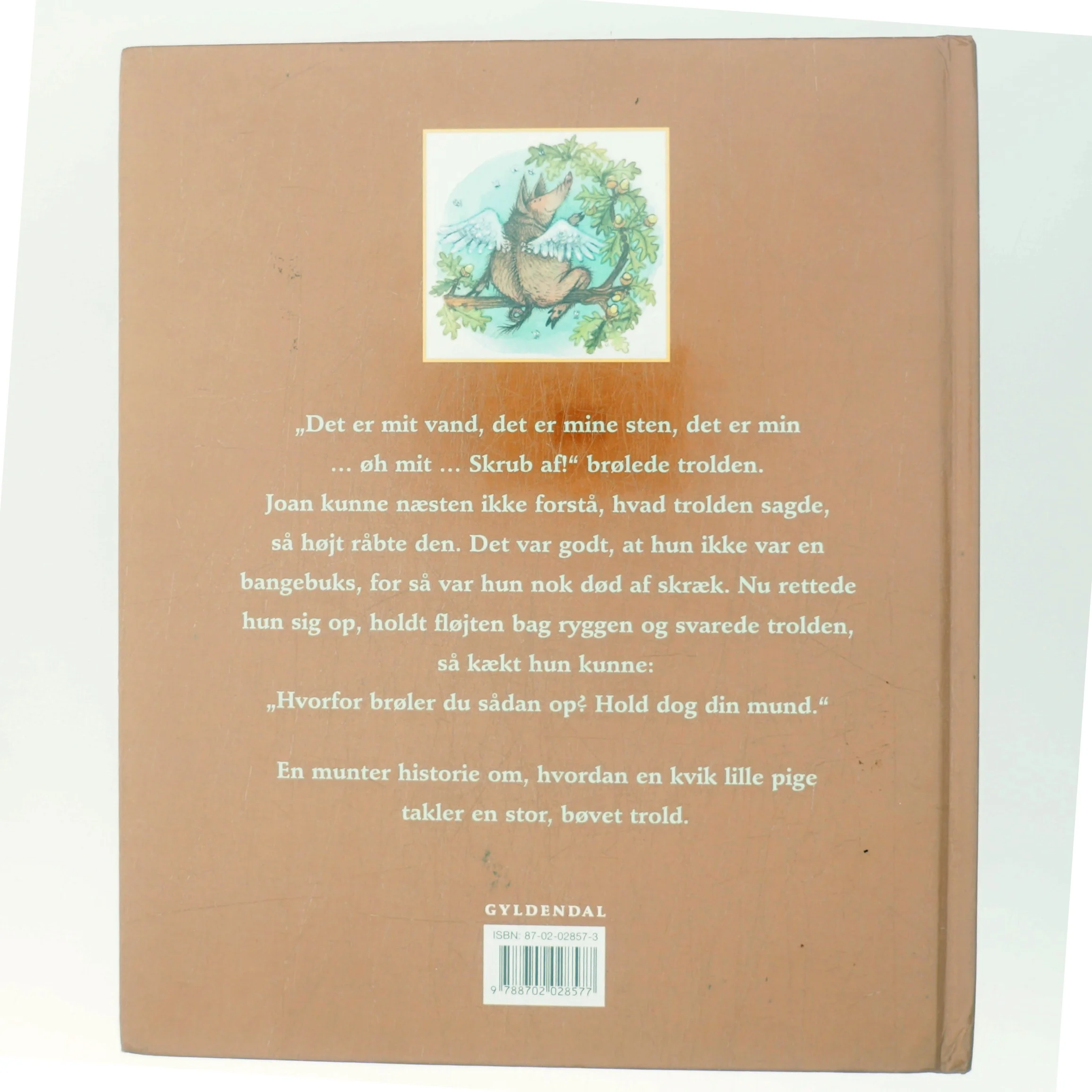 Den flyvende gris af Stefan Frello (Bog)