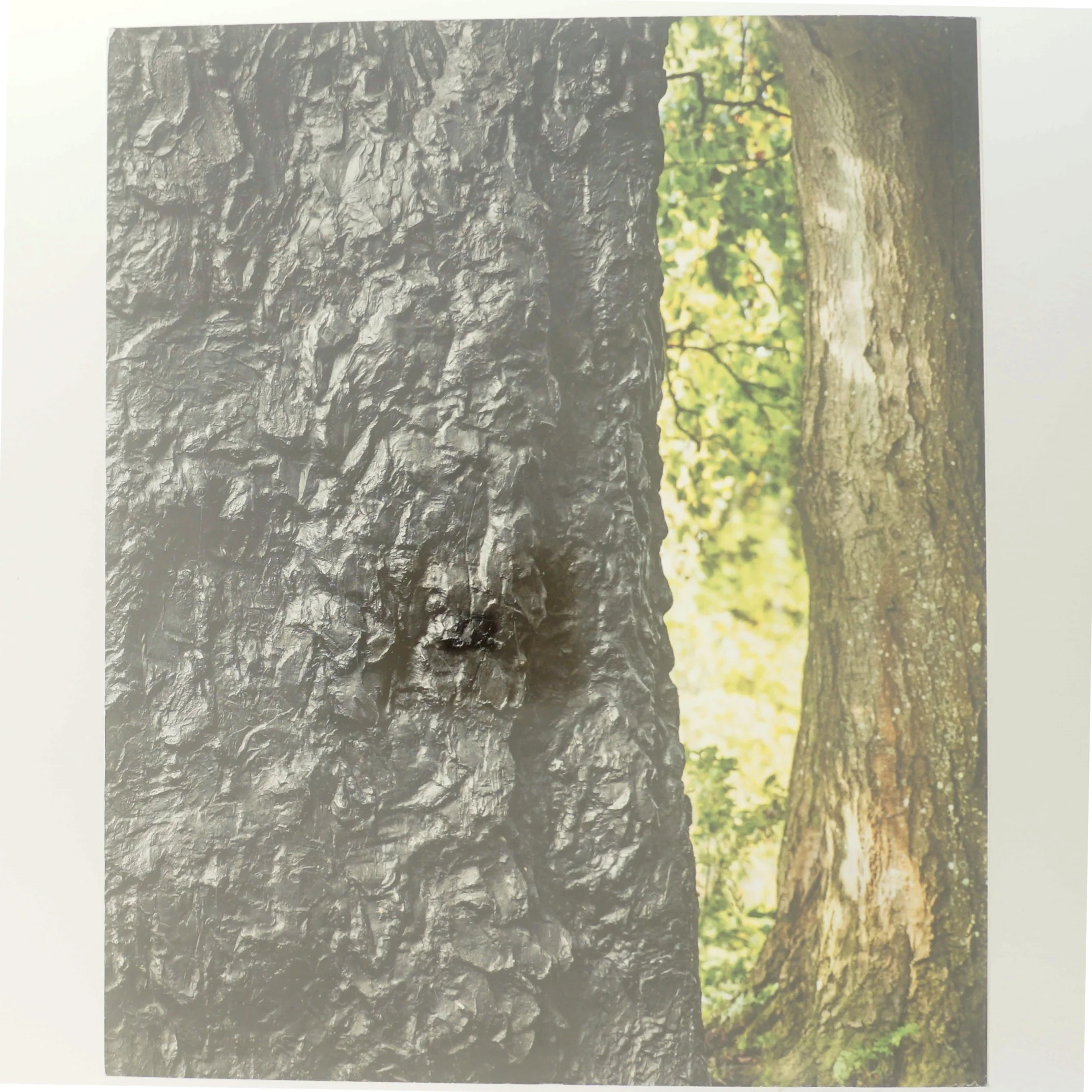 Per Kirkeby Bronze bog