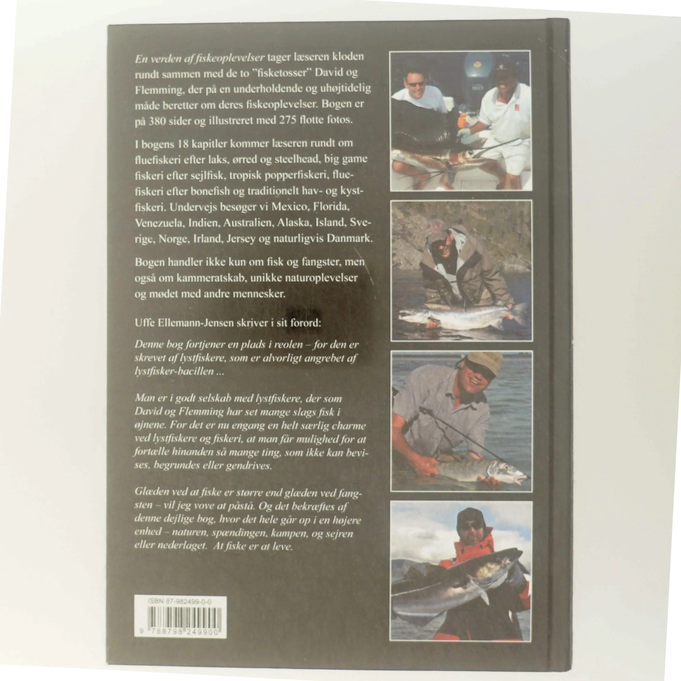 En verden af fiskeoplevelser : fortællinger om fiskeoplevelser fra hele verden af David Nielsen (f. 1975-03-06) (Bog)