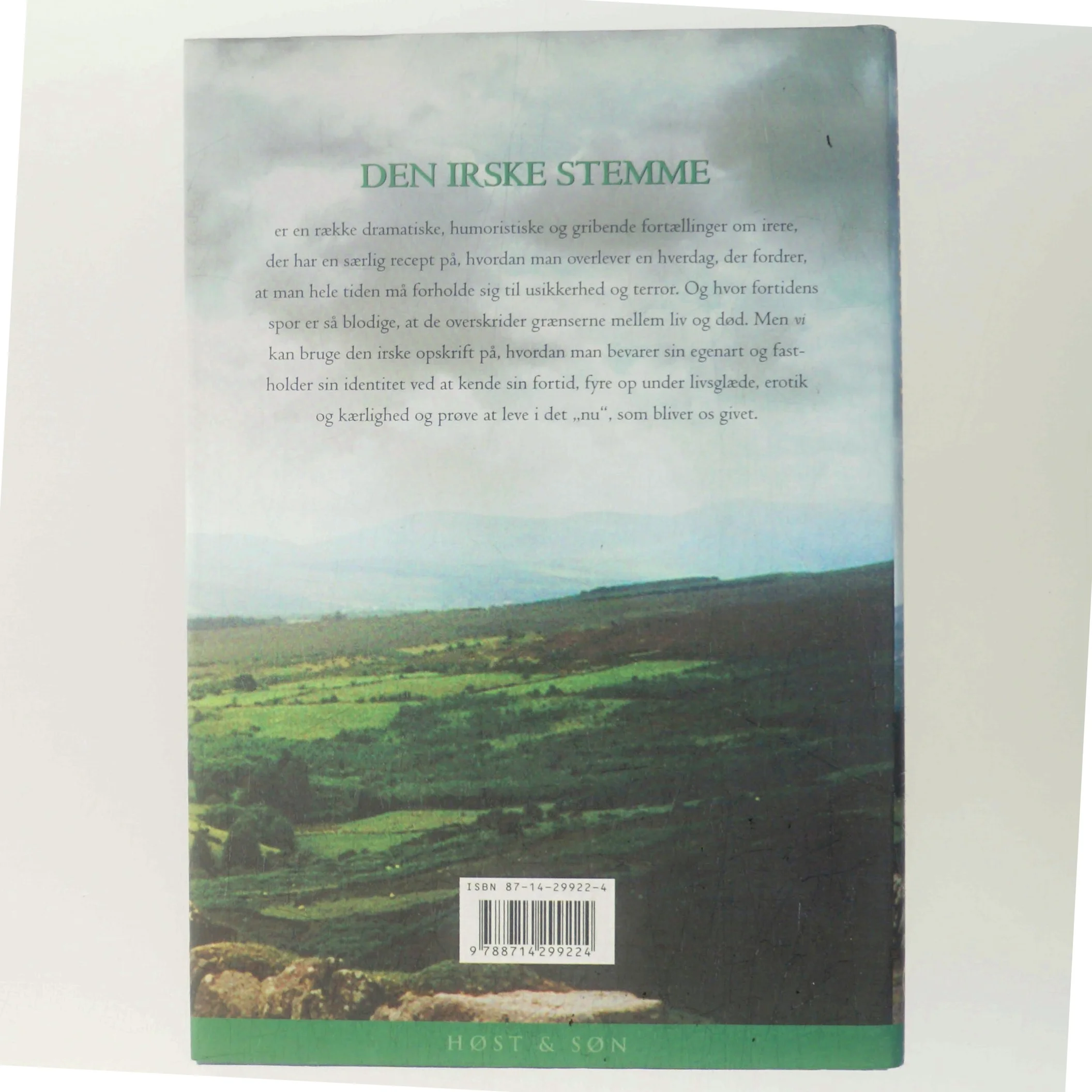 Den irske stemme : fortællinger af Jane Aamund (Bog)