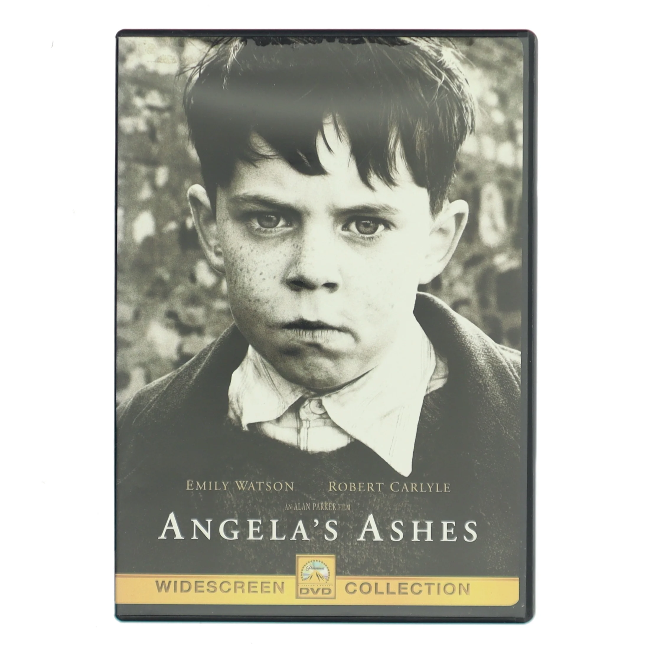Angela's Ashes med Emily Watson (DVD)