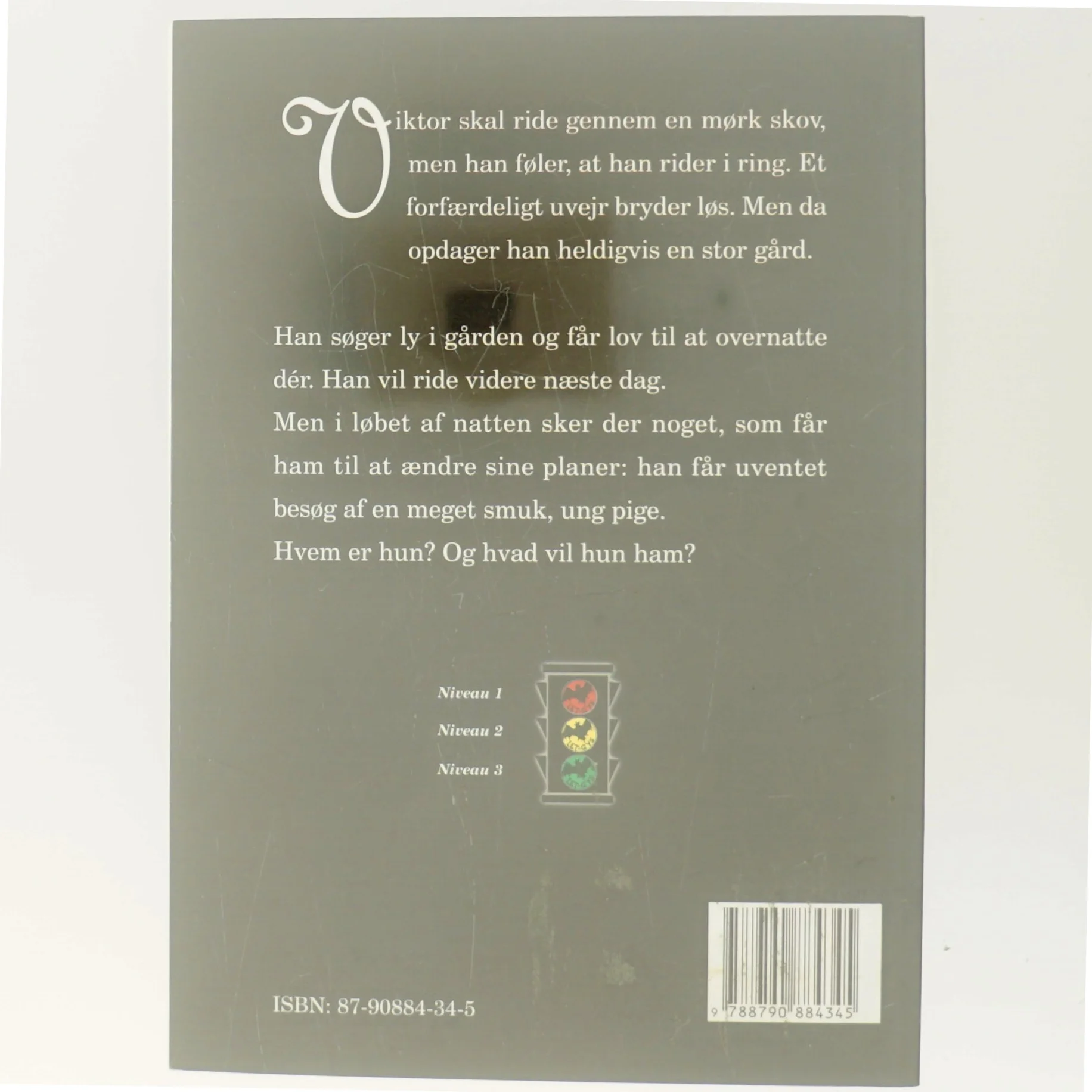 Den hvide dame af Jørgen Hartung Nielsen (Bog)