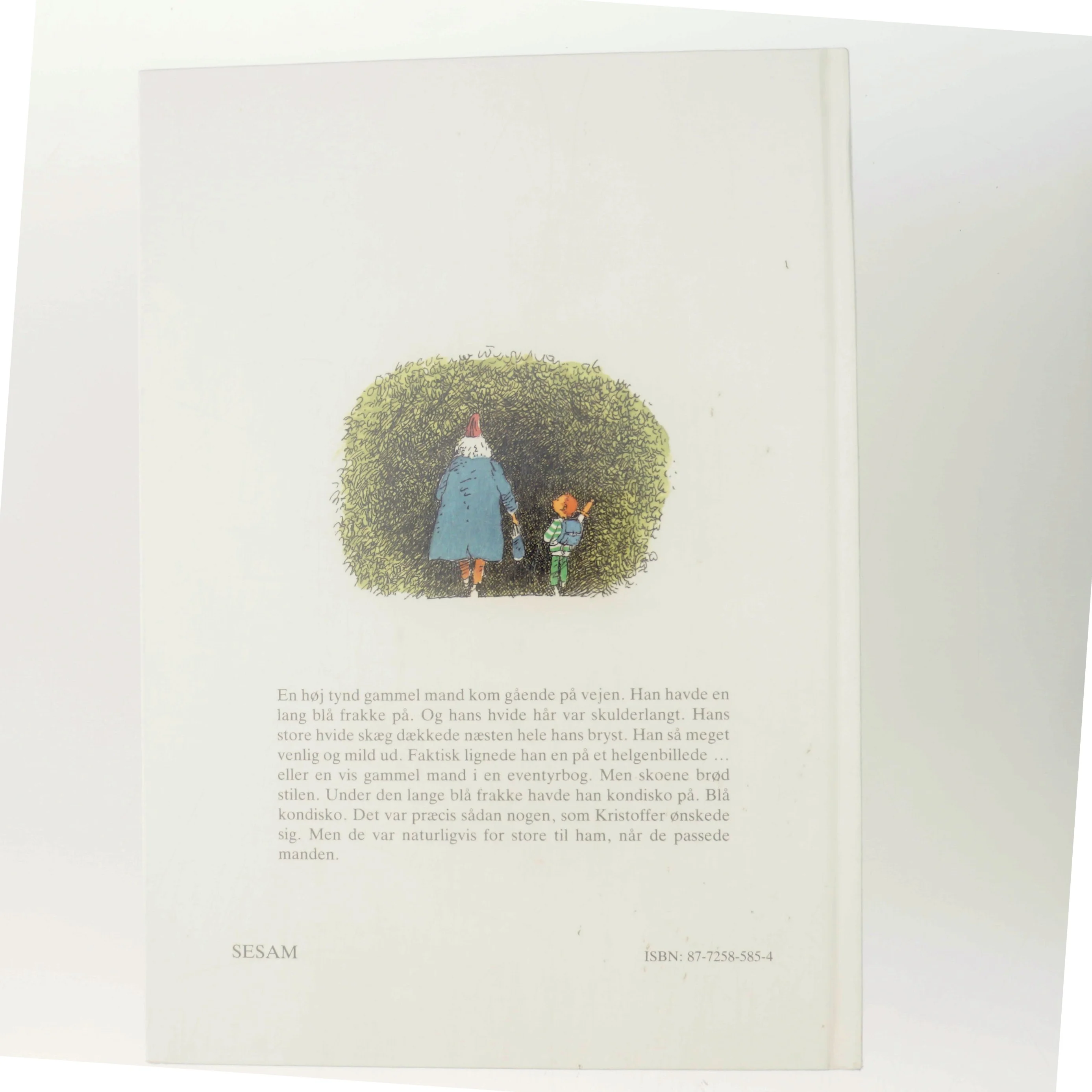 Ønskeskoene af Åsa Sahlquist (Bog)