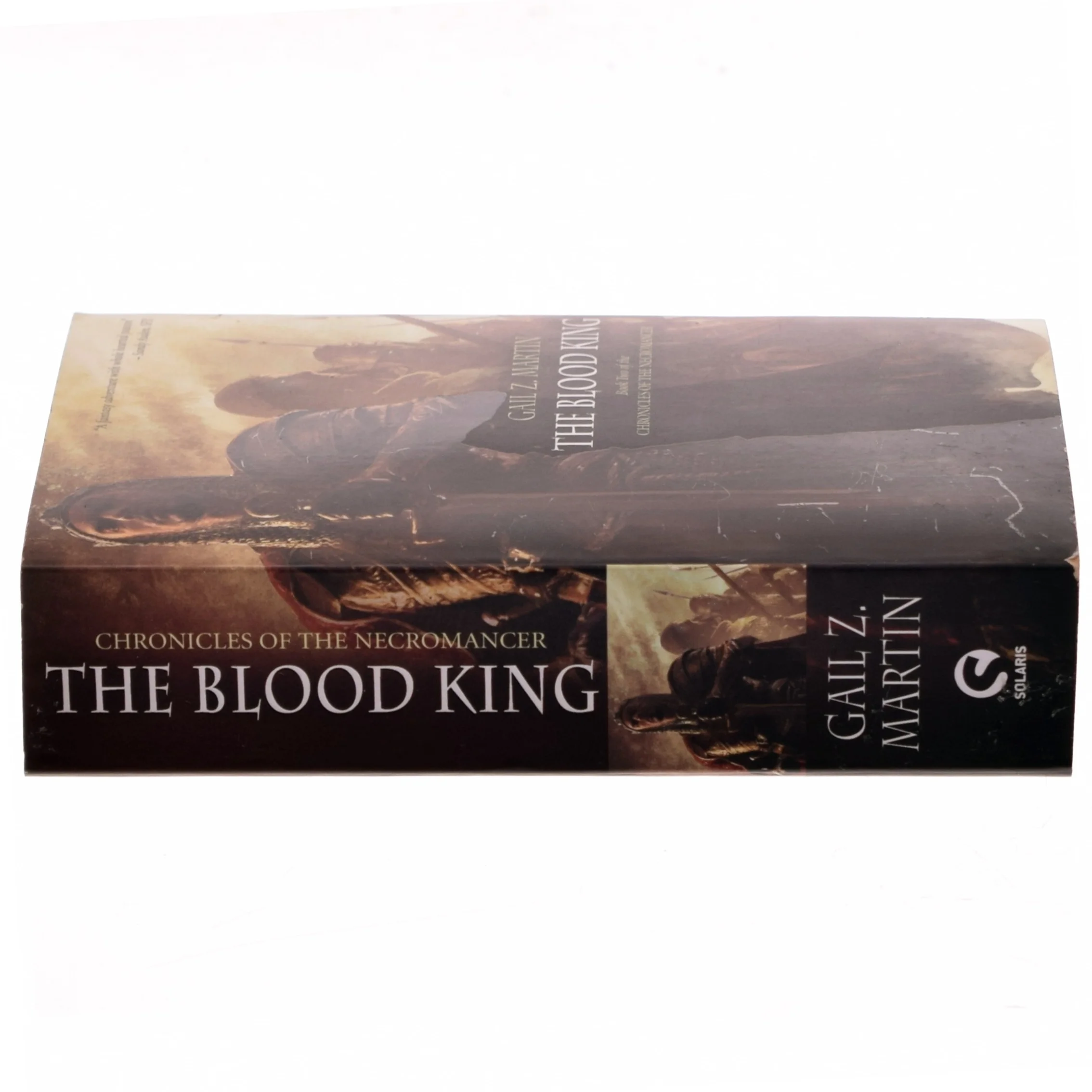 The blood king af Gail Martin (Bog)