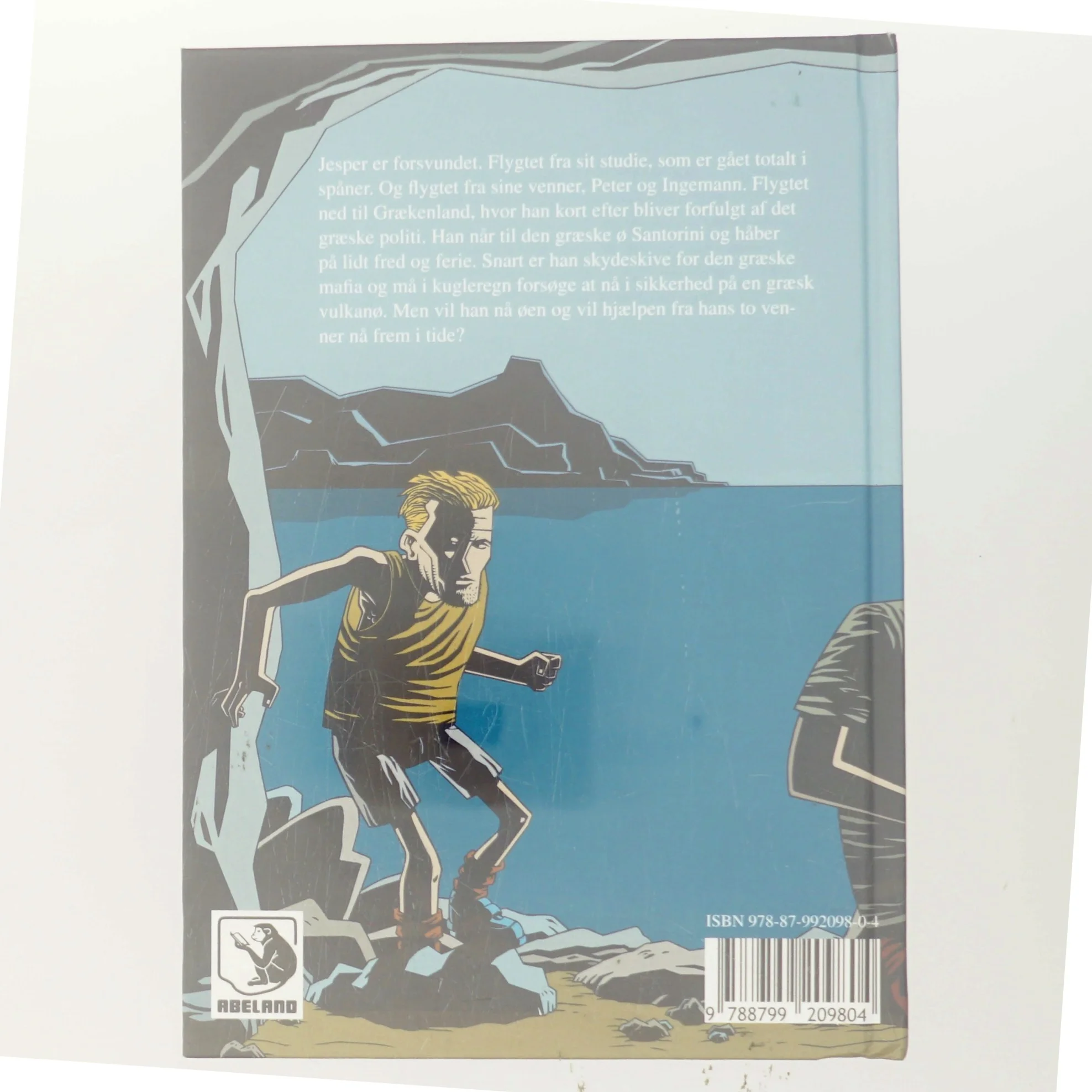 Vulkanens øje af Andreas og Birger Møller (Bog)