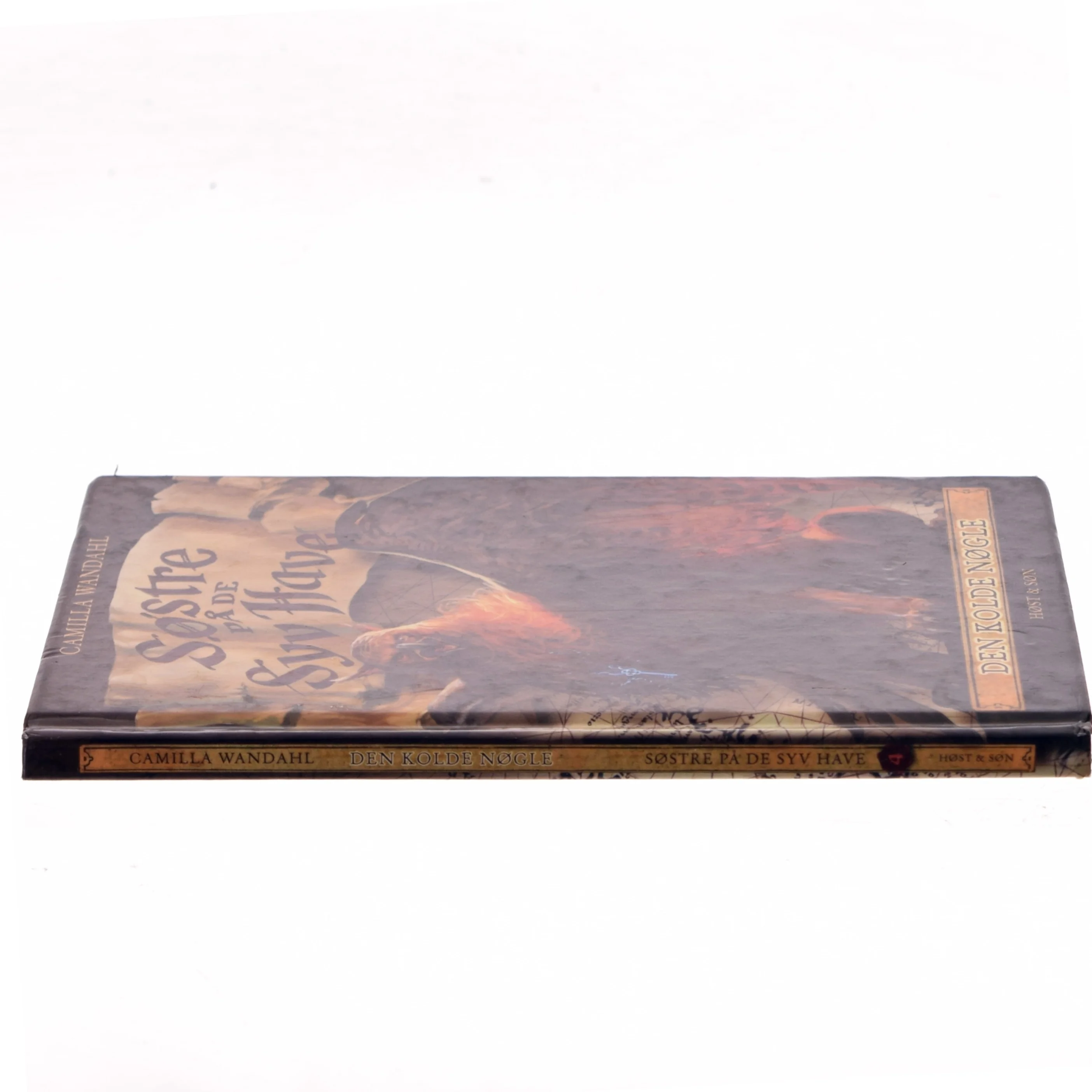 Den kolde nøgle af Camilla Wandahl (Bog)