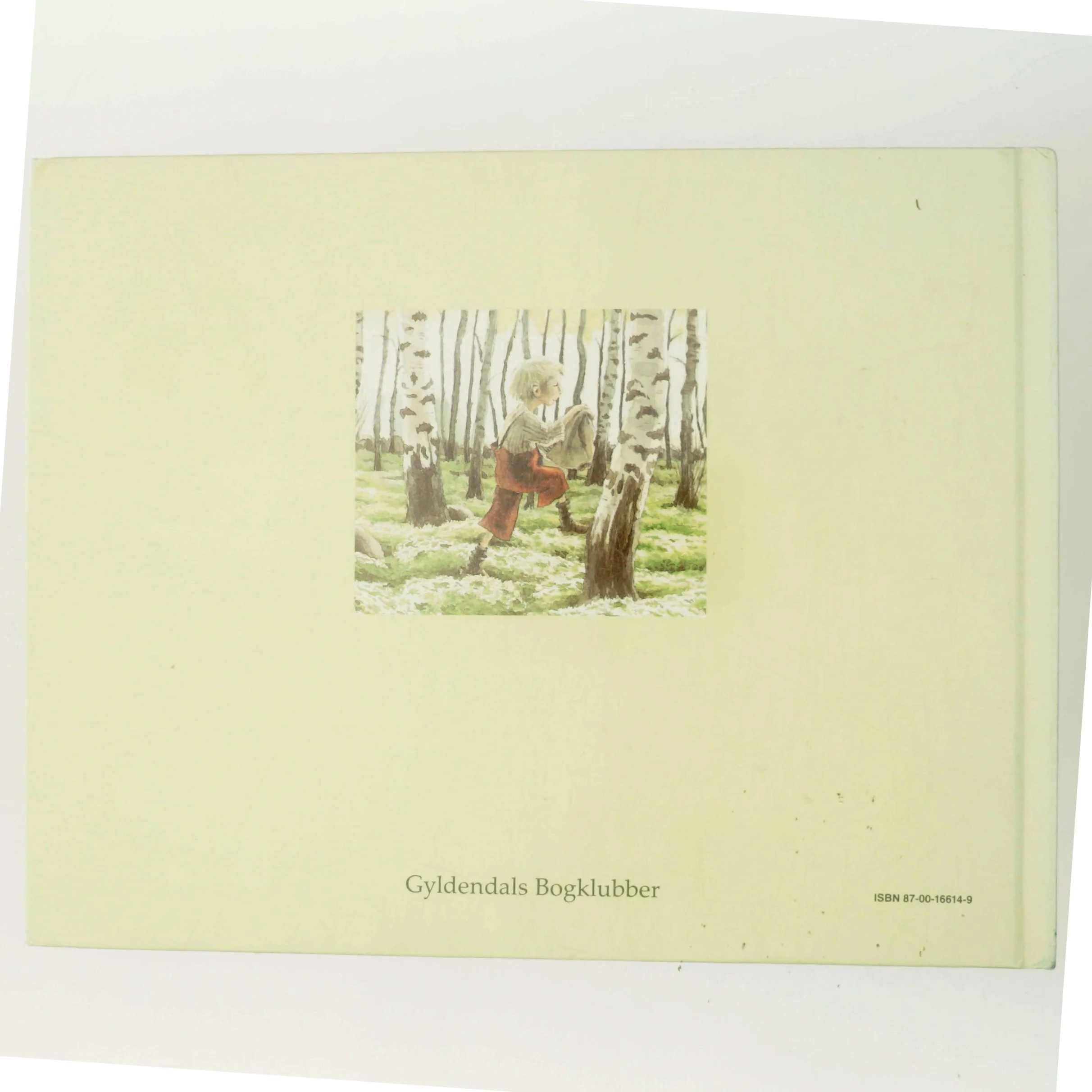 Da Adam Engelbrekt blev olm af Astrid Lindgren (Bog)