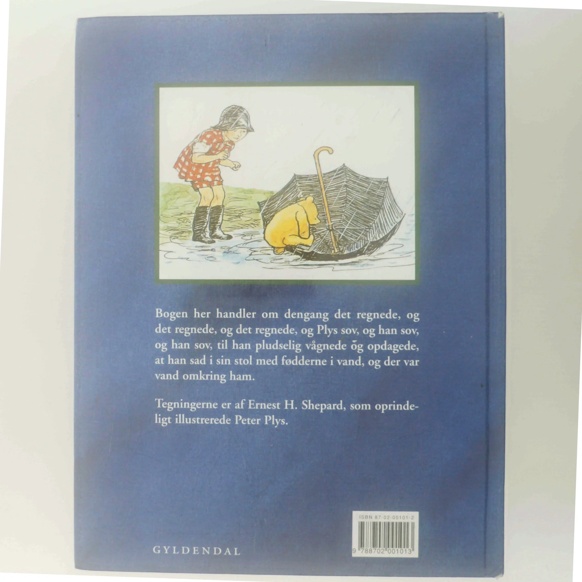 Peter Plys i regn af A. A. Milne (Bog)