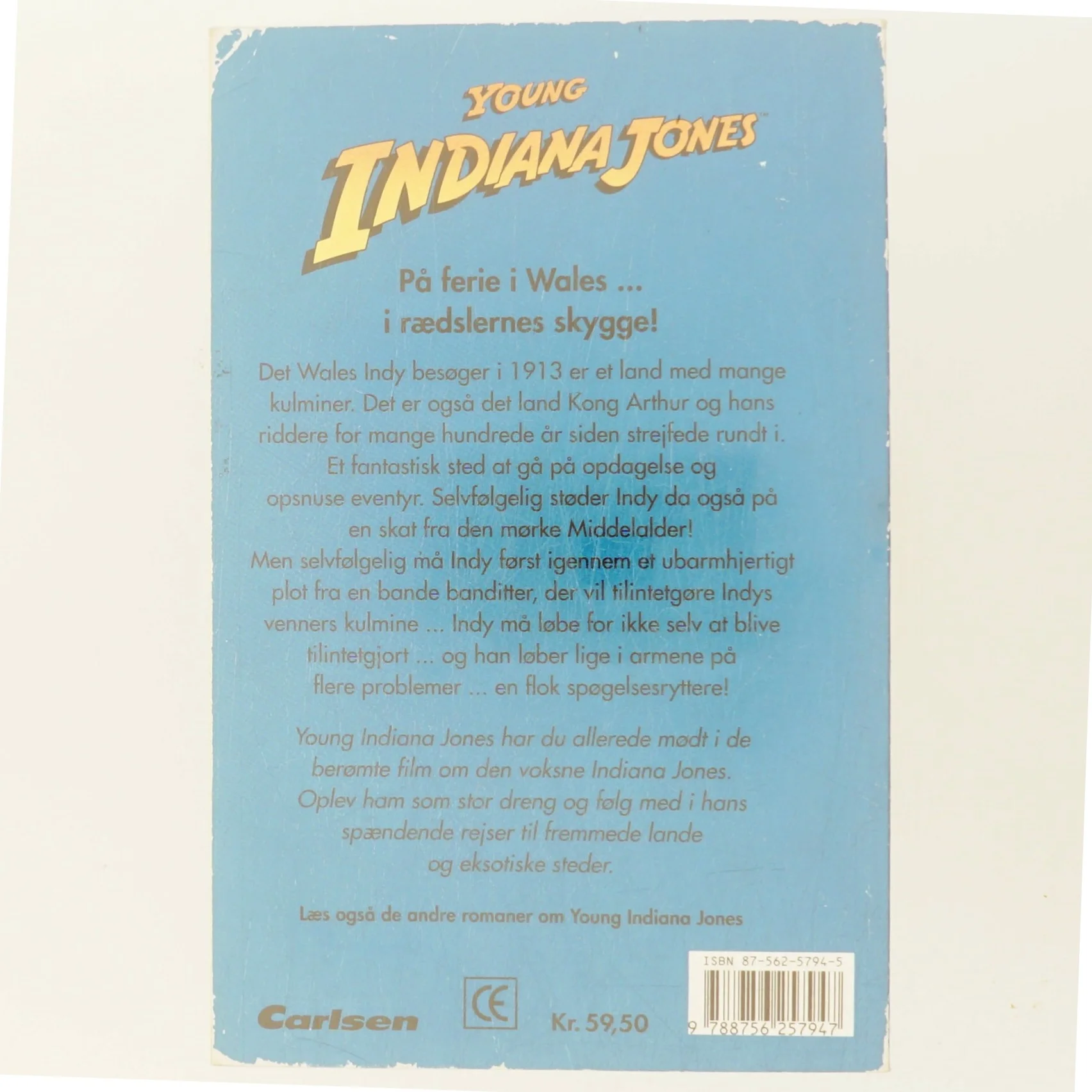 Spøgelsesrytterne af William McCay (Bog)