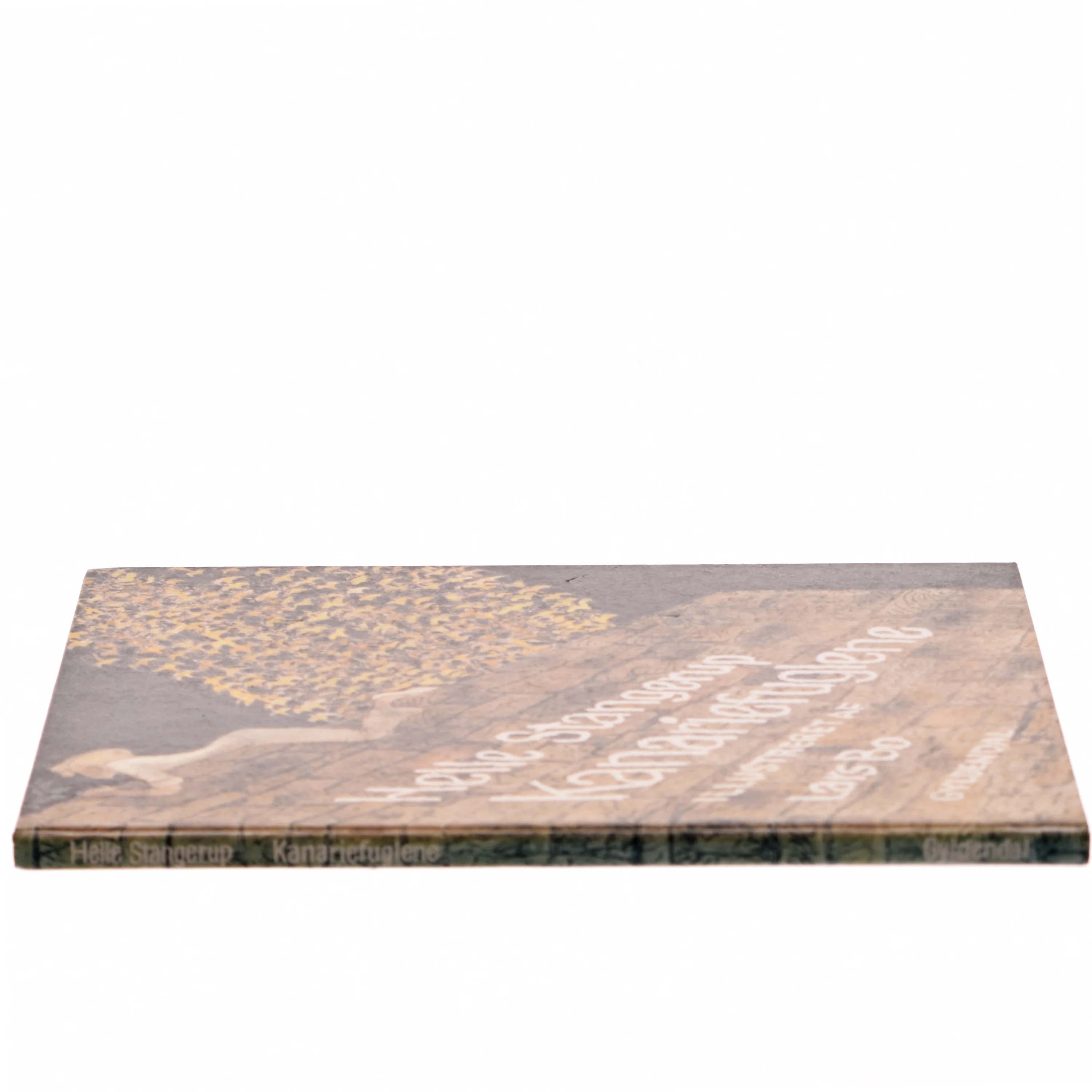 Kanarie-fuglene af Helle Stangerup (Bog)