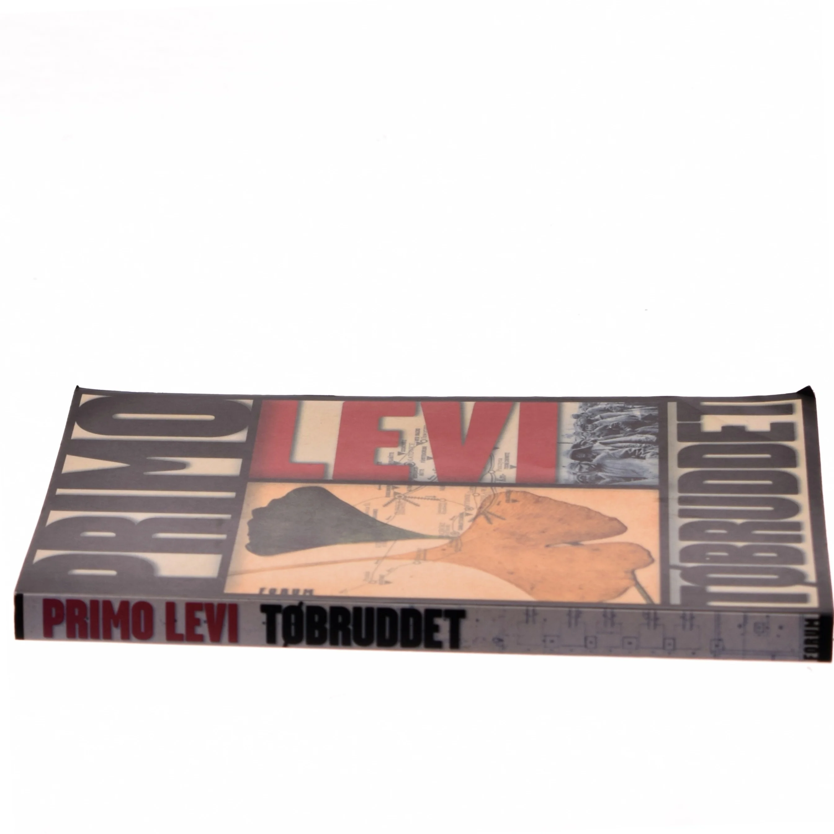 Tøbruddet af Primo Levi (Bog)